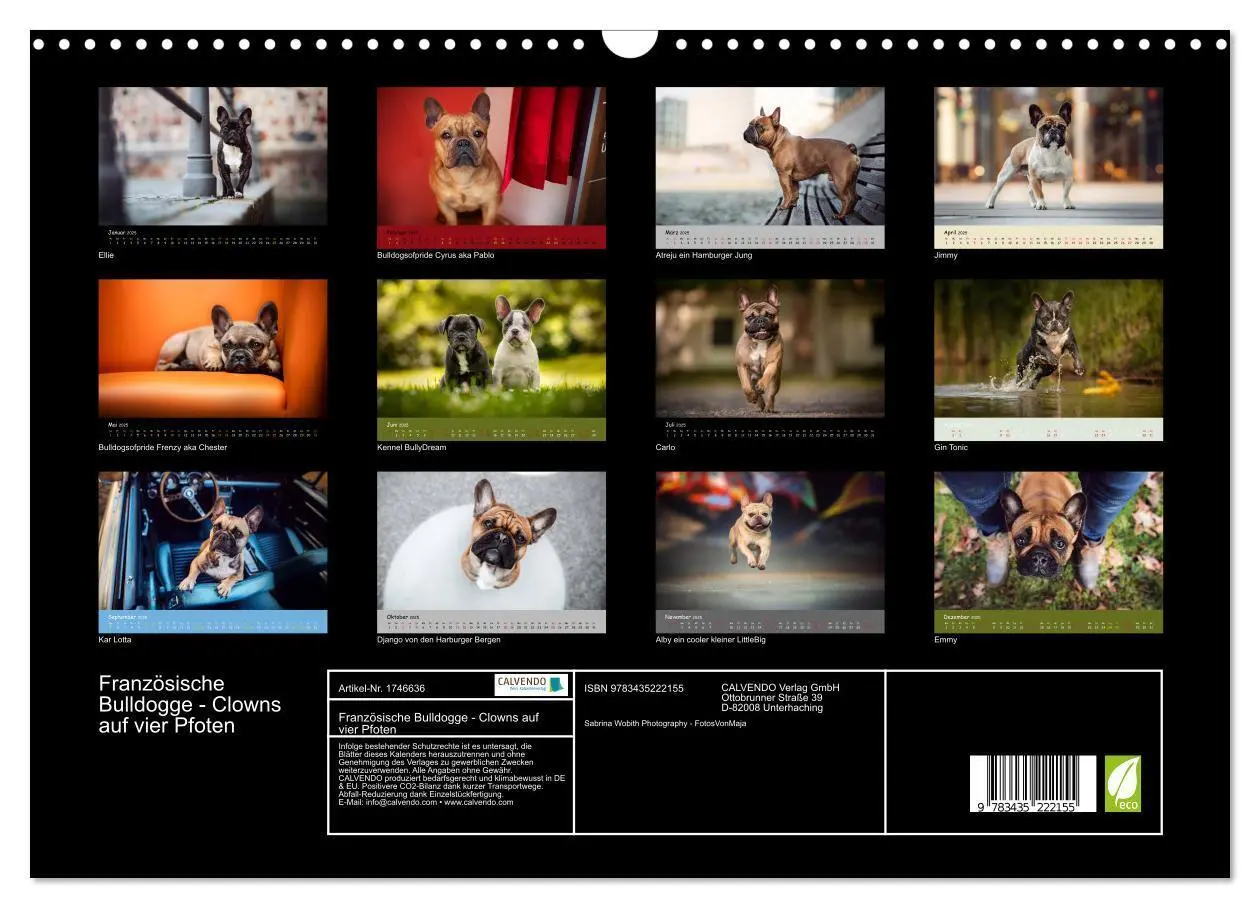 Bild: 9783435222155 | Französische Bulldogge - Clowns auf vier Pfoten (Wandkalender 2025...
