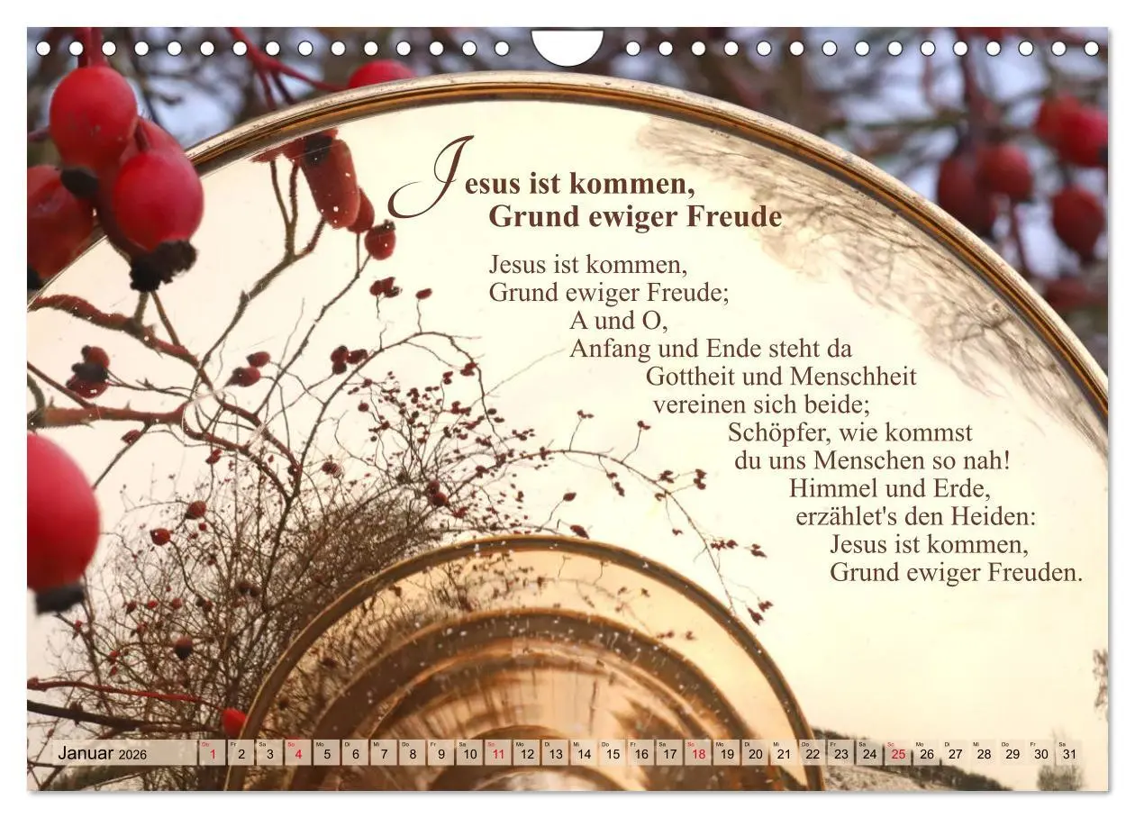 Bild: 9783457792155 | Lieder für Blechbläser (Wandkalender 2026 DIN A4 quer), CALVENDO...