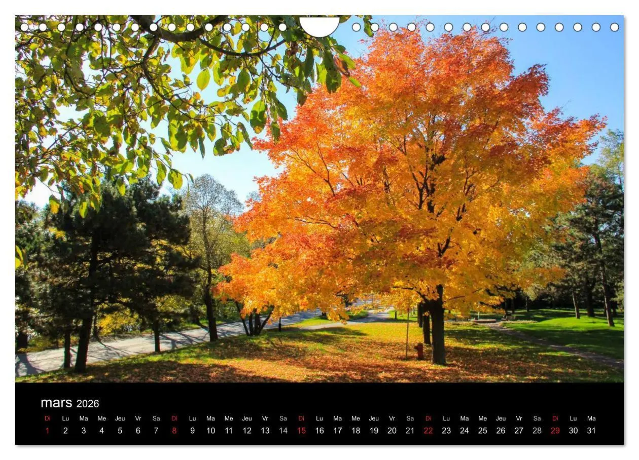 Bild: 9783516572155 | Paysages d'Automne au Québec (Calendrier mural 2026 DIN A4...