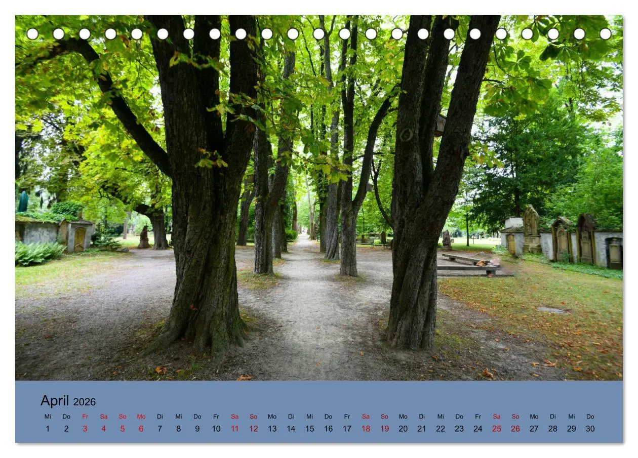Bild: 9783457852255 | Wundervolles Freiburg (Tischkalender 2026 DIN A5 quer), CALVENDO...