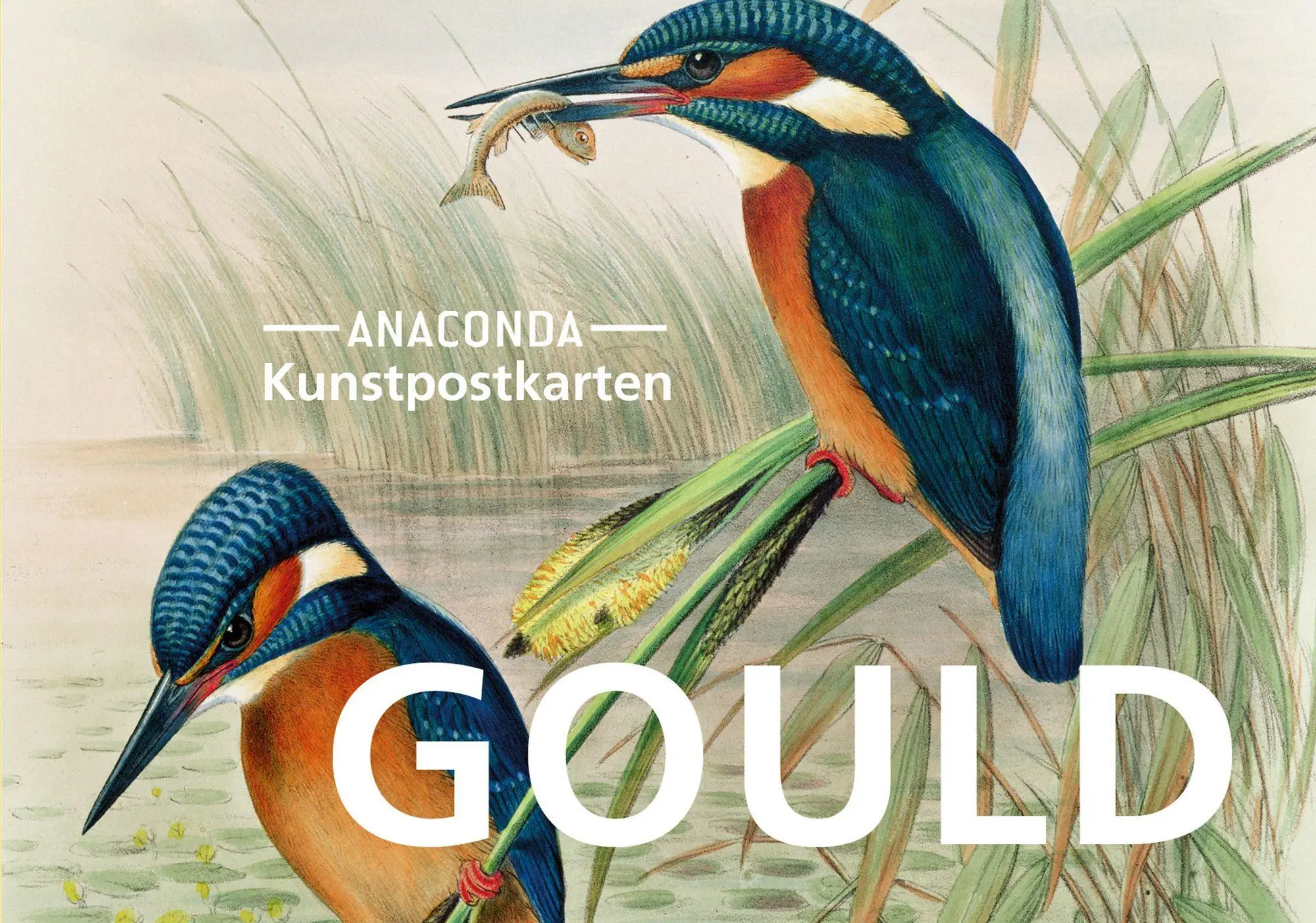 Cover: 9783730612255 | Postkarten-Set John Gould | John Gould | Taschenbuch | 20 S. | Deutsch