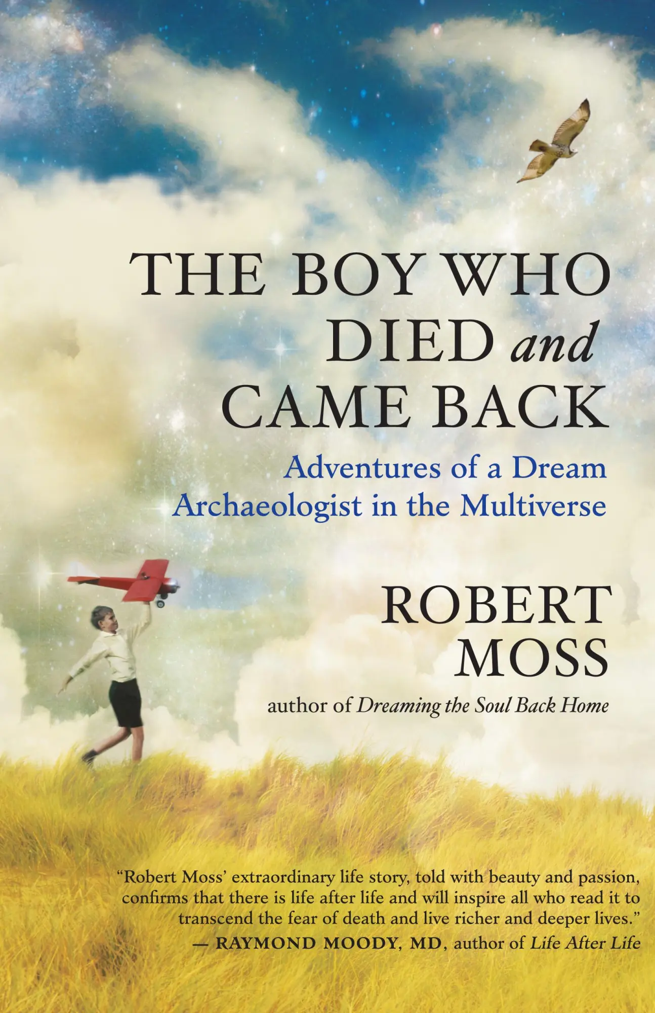 Cover: 9781608682355 | The Boy Who Died and Came Back | Robert Moss | Taschenbuch | Englisch