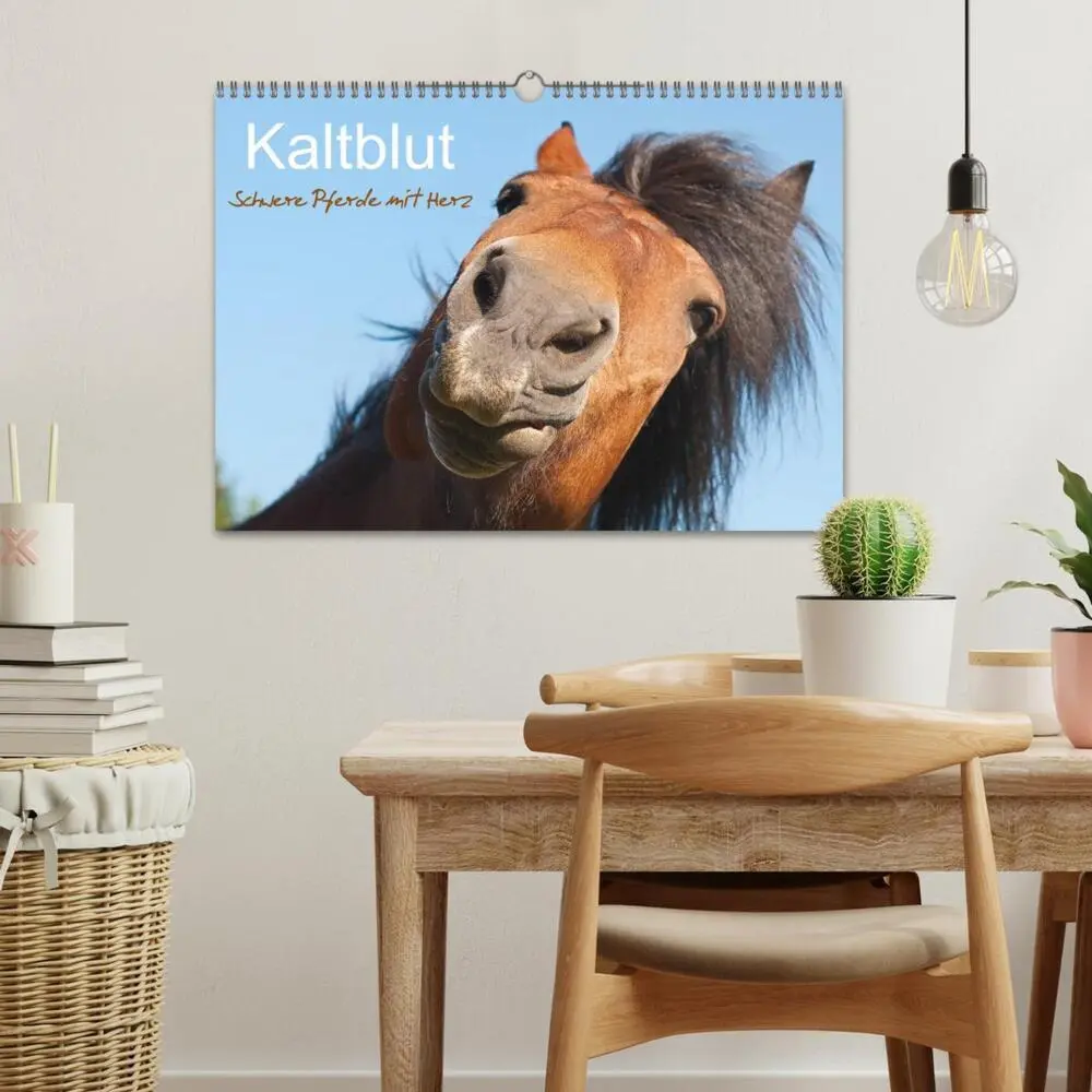 Bild: 9783435512355 | Kaltblut - schwere Pferde mit Herz (Wandkalender 2025 DIN A3 quer),...