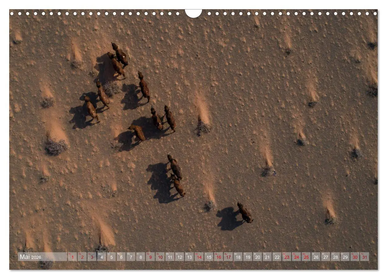 Bild: 9783457842355 | Mongolei - imposantes Land (Wandkalender 2026 DIN A3 quer),...