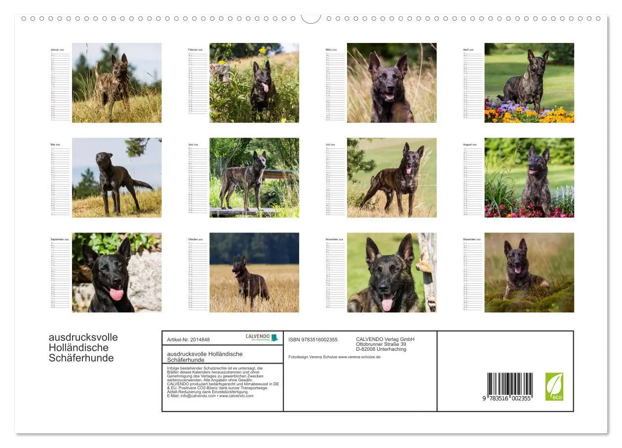 Bild: 9783516002355 | ausdrucksvolle Holländische Schäferhunde (hochwertiger Premium...