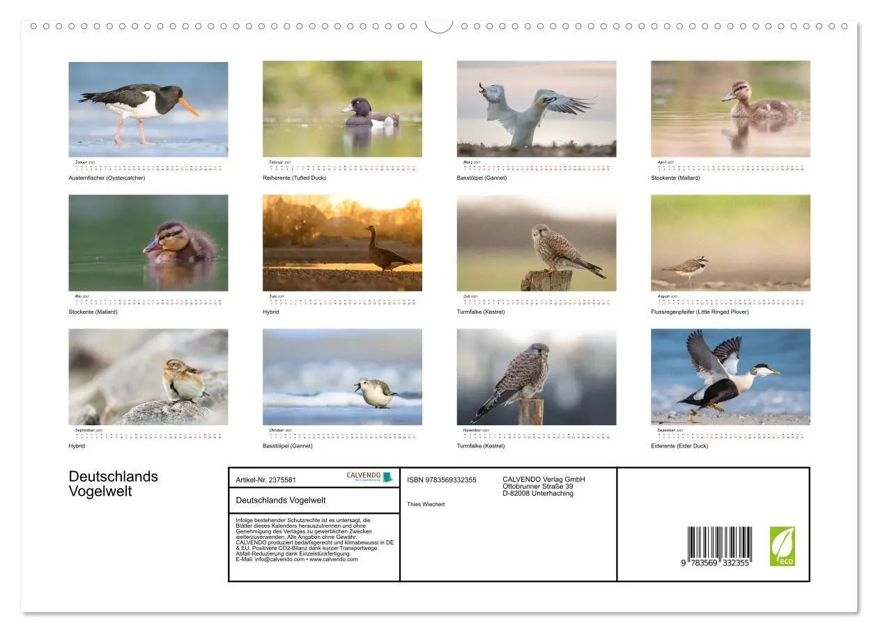 Bild: 9783569332355 | Deutschlands Vogelwelt (hochwertiger Premium Wandkalender 2027 DIN...