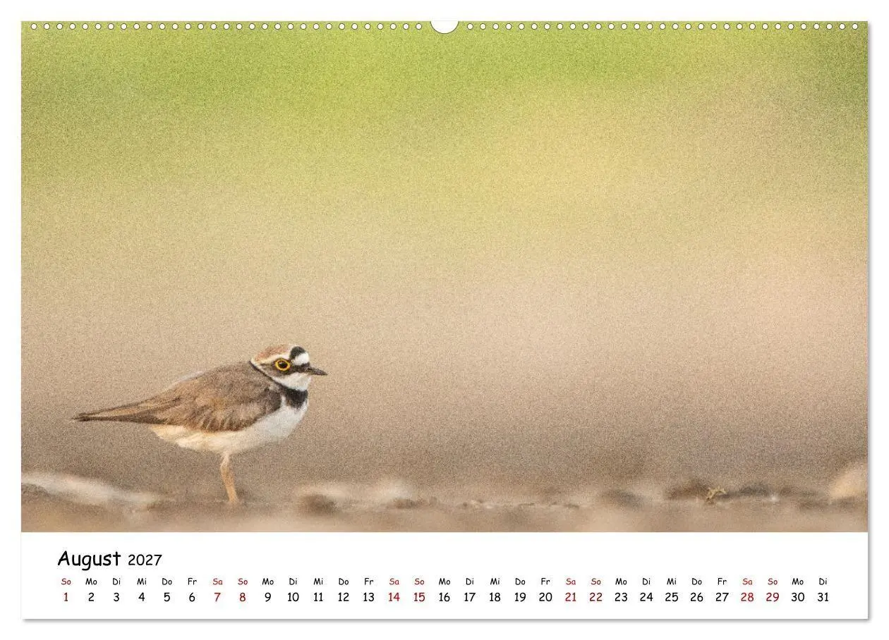 Bild: 9783569332355 | Deutschlands Vogelwelt (hochwertiger Premium Wandkalender 2027 DIN...