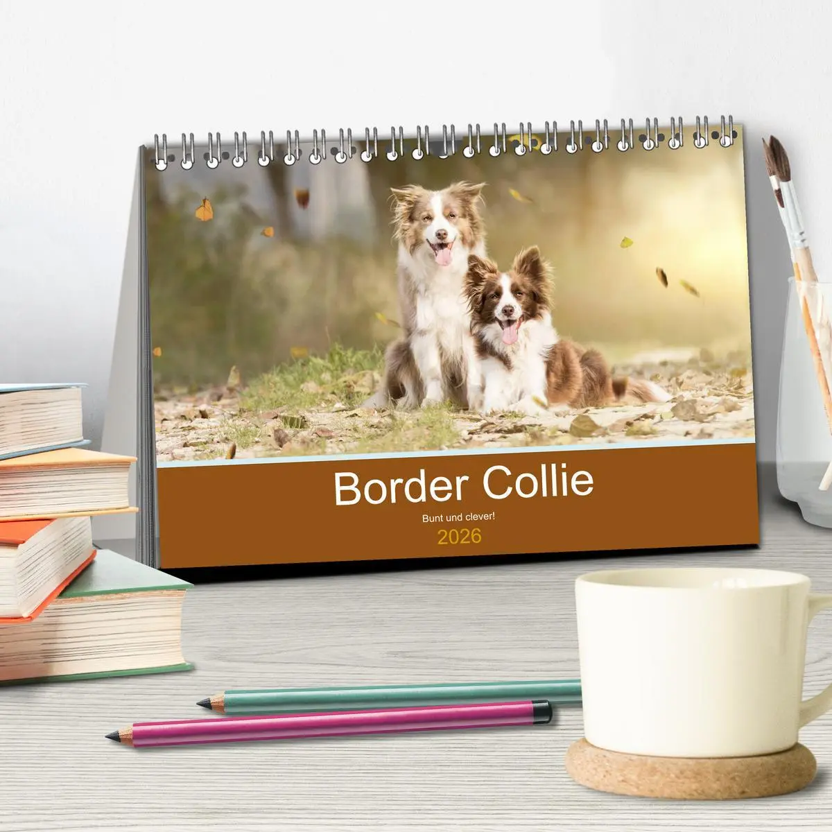 Bild: 9783457762455 | Border Collie - Bunt und clever! (Tischkalender 2026 DIN A5 quer),...