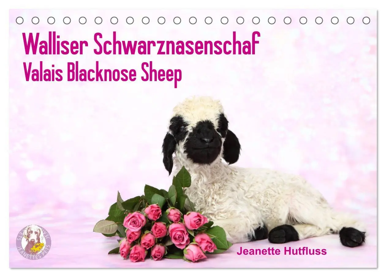 Cover: 9783457832455 | Walliser Schwarznasenschaf Valais Blacknose Sheep (Tischkalender...