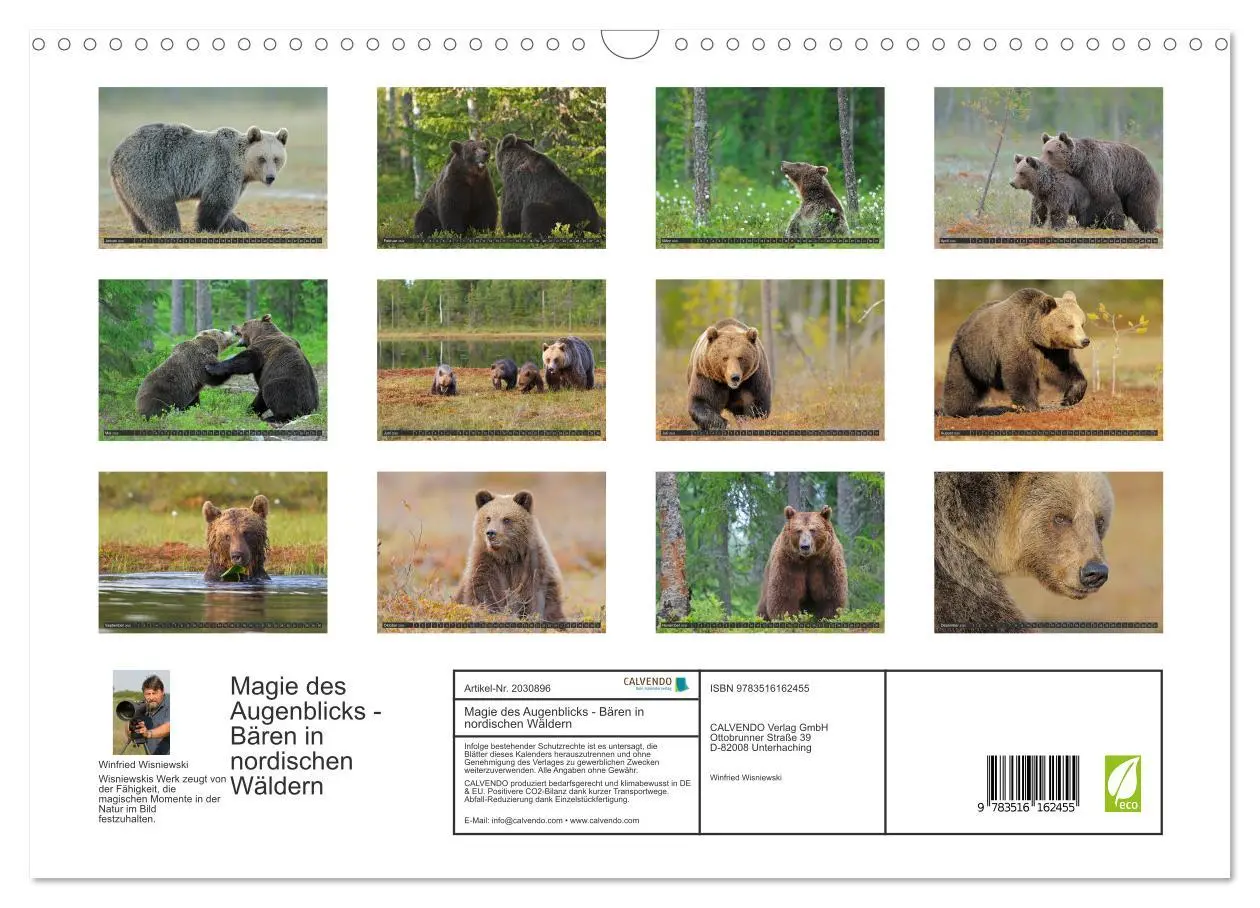 Bild: 9783516162455 | Magie des Augenblicks - Bären in nordischen Wäldern (Wandkalender...