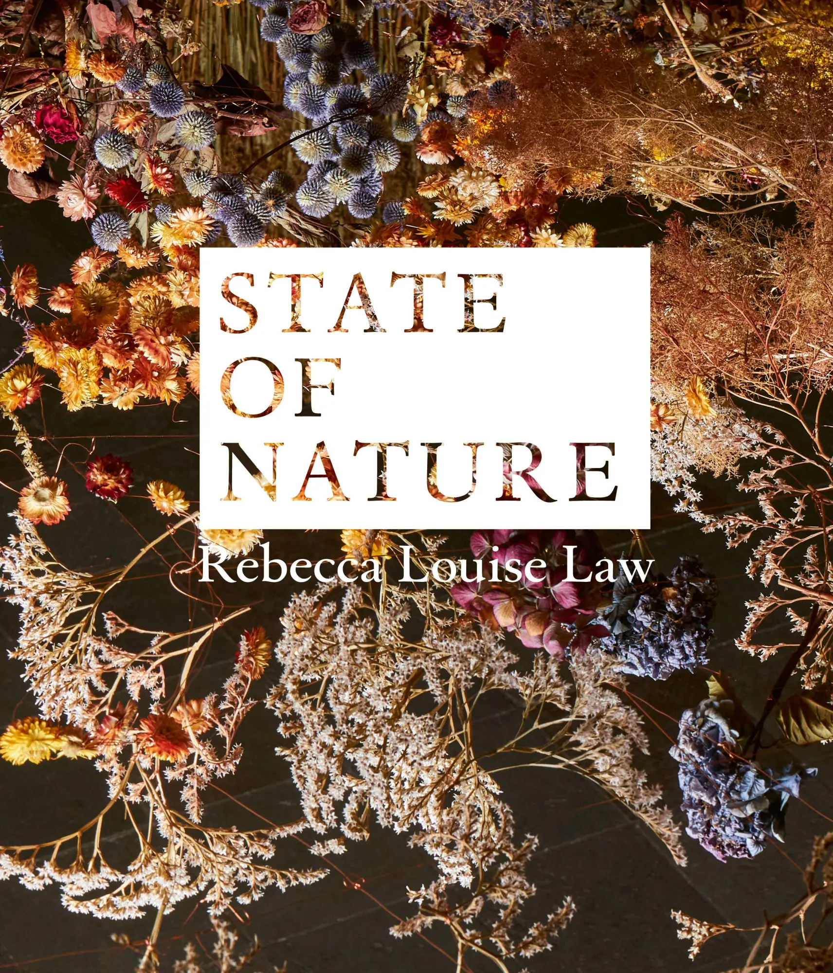 Cover: 9783987412455 | Rebecca Louise Law: State of Nature | Sonja E. Nökel (u. a.) | Buch