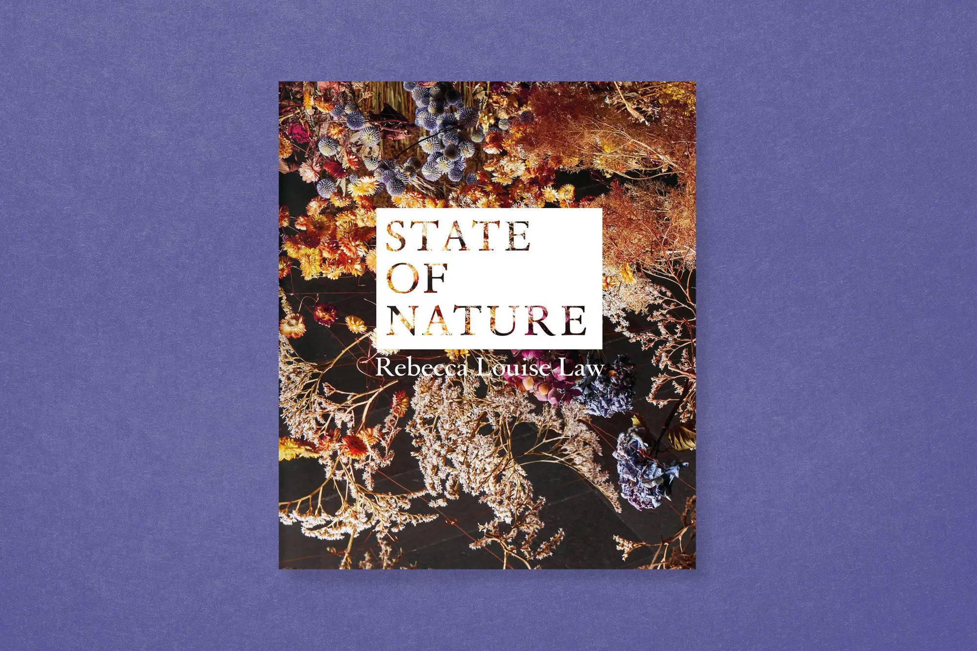 Bild: 9783987412455 | Rebecca Louise Law: State of Nature | Sonja E. Nökel (u. a.) | Buch