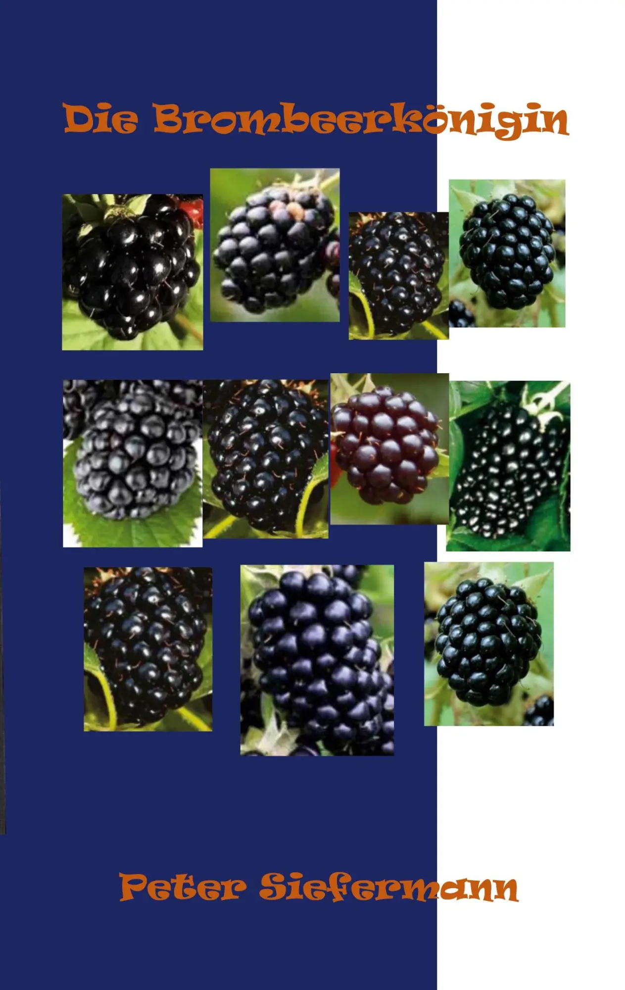 Cover: 9783819262555 | Die Brombeerkönigin | Peter Siefermann | Taschenbuch | 104 S. | 2025