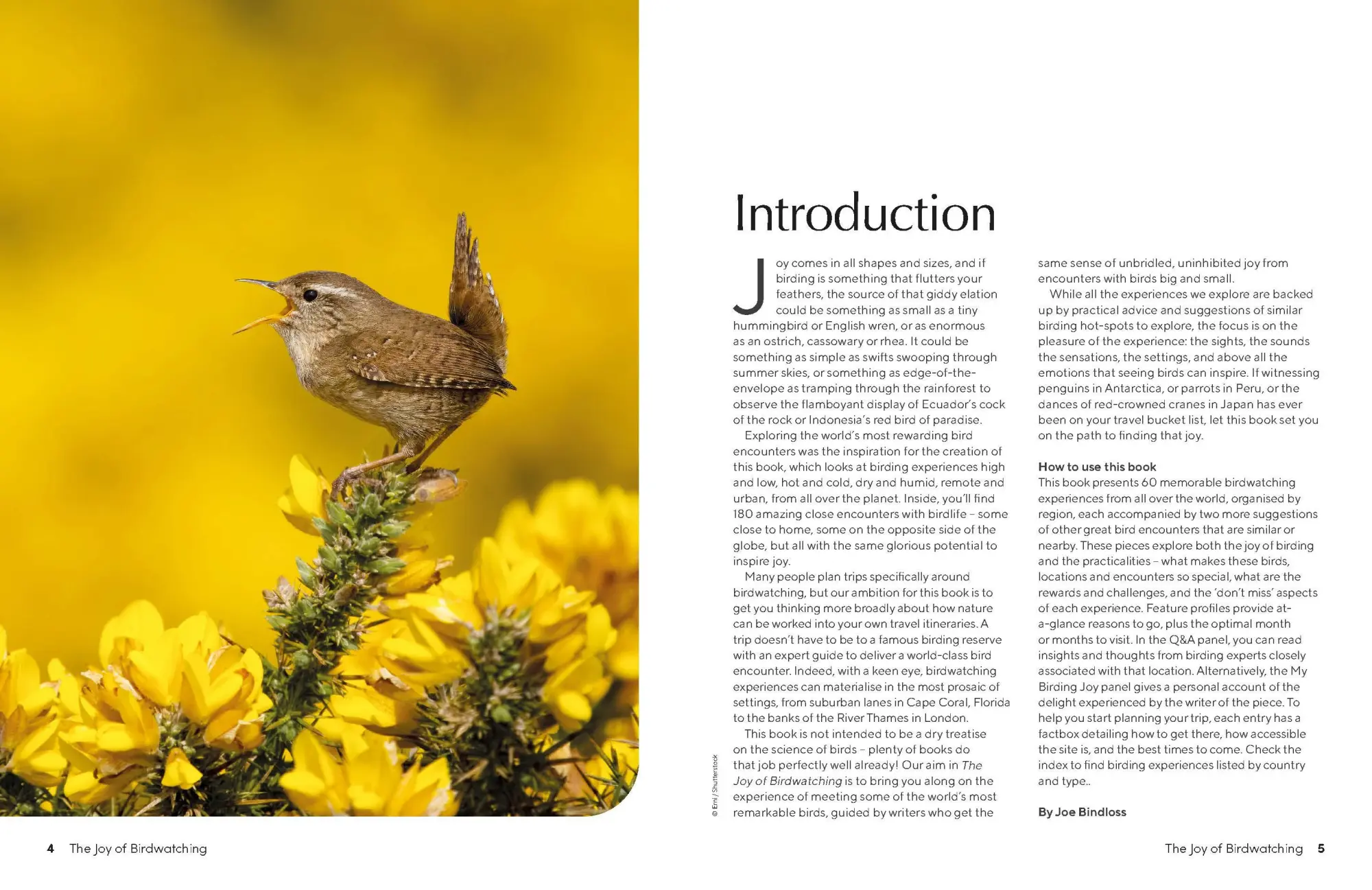 Bild: 9781837582655 | The Joy of Birdwatching | Buch | Englisch | 2024 | Lonely Planet