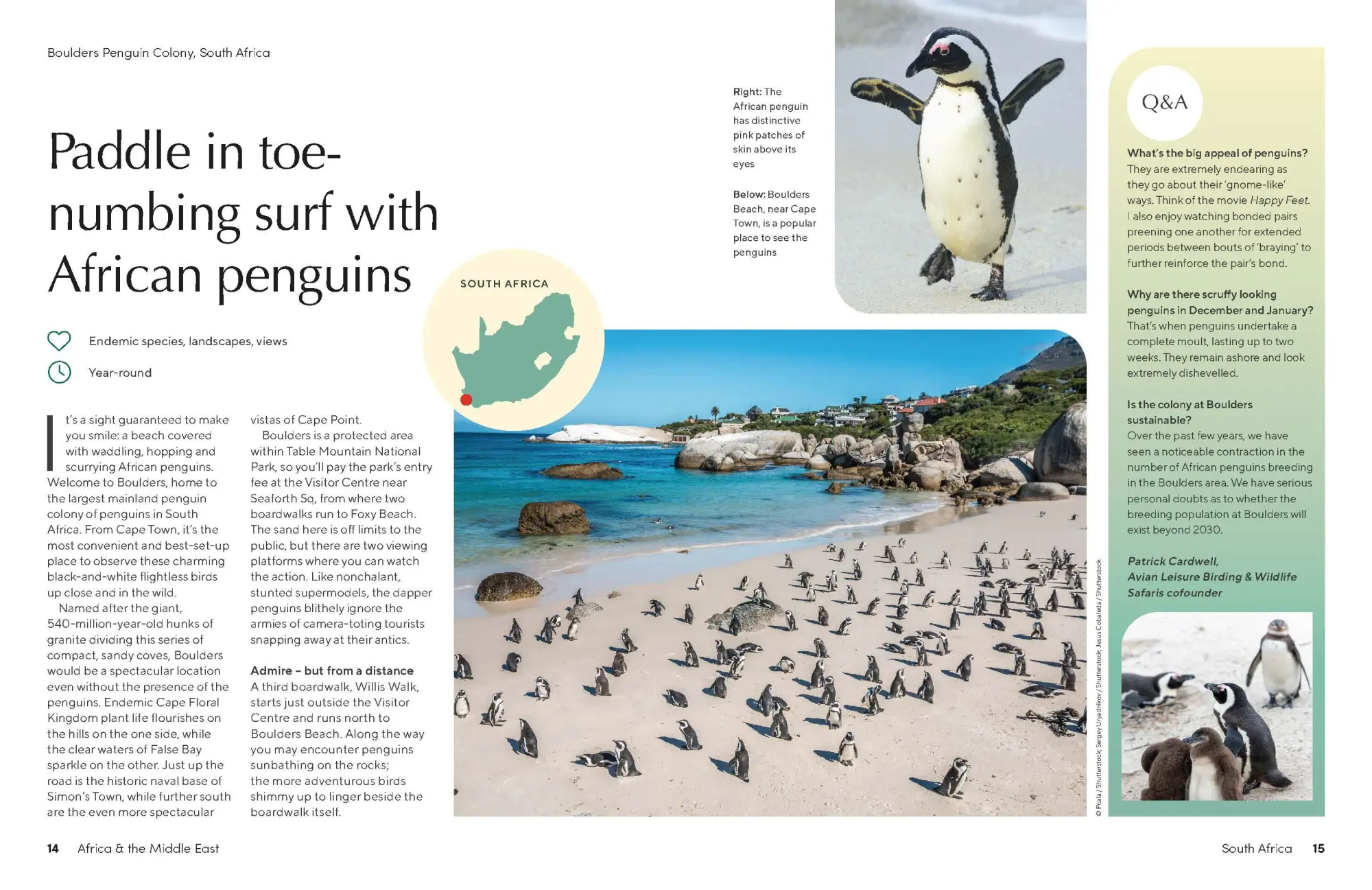 Bild: 9781837582655 | The Joy of Birdwatching | Buch | Englisch | 2024 | Lonely Planet