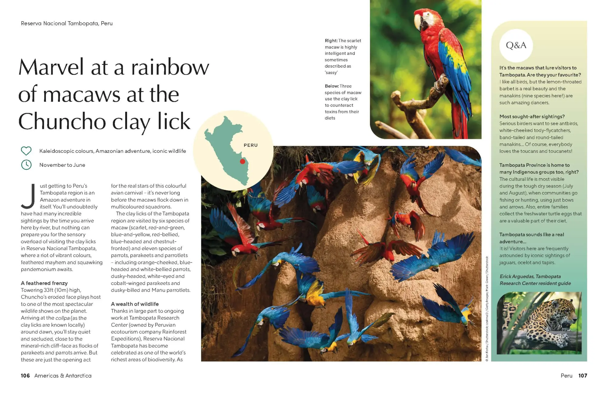 Bild: 9781837582655 | The Joy of Birdwatching | Buch | Englisch | 2024 | Lonely Planet