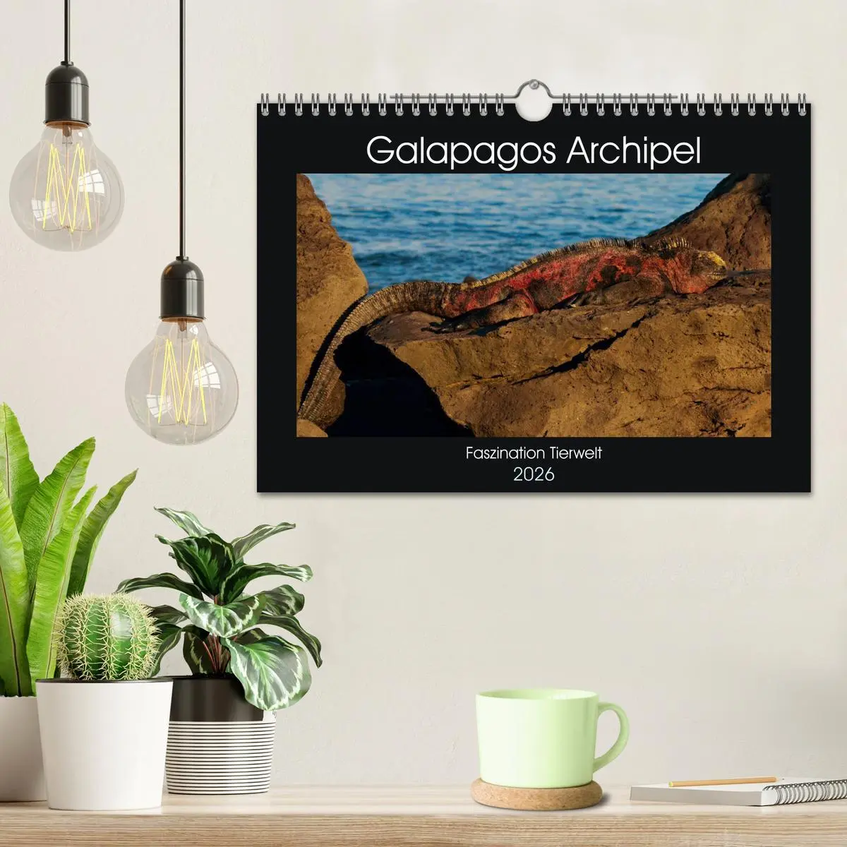 Bild: 9783516142655 | Galapagos Archipel- Faszination Tierwelt (Wandkalender 2026 DIN A4...