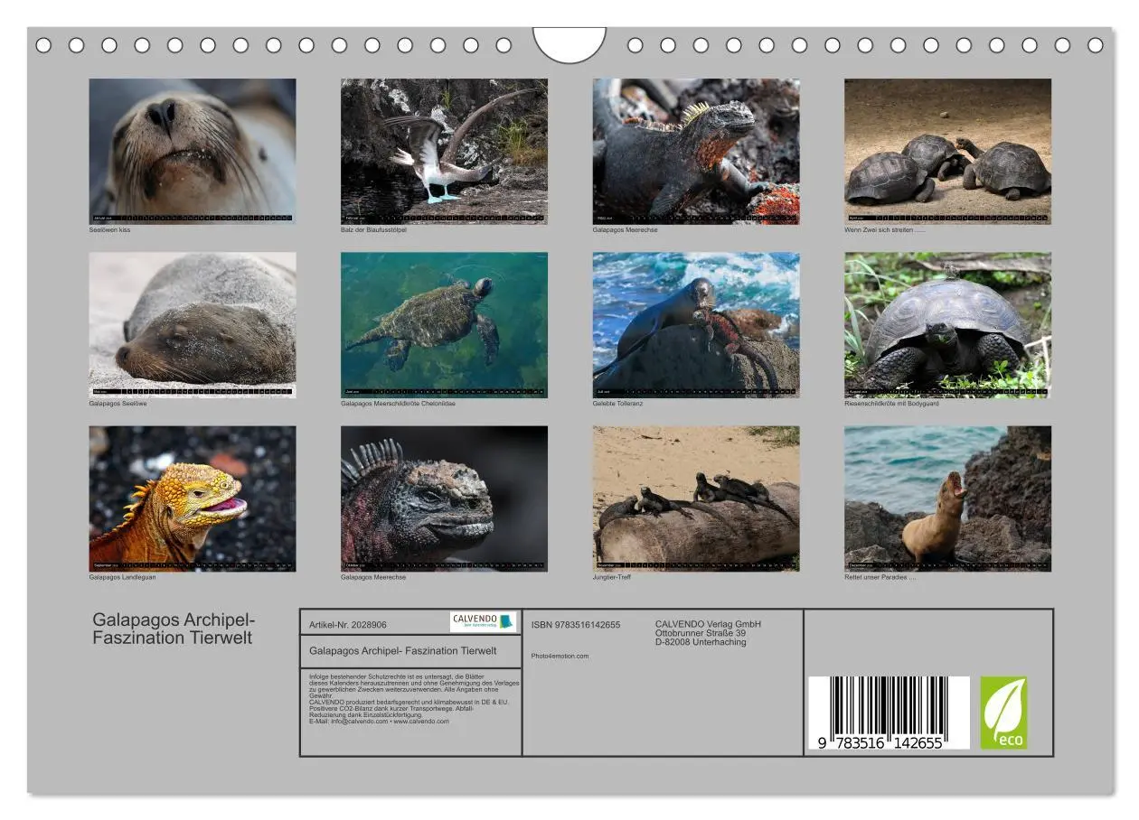 Bild: 9783516142655 | Galapagos Archipel- Faszination Tierwelt (Wandkalender 2026 DIN A4...
