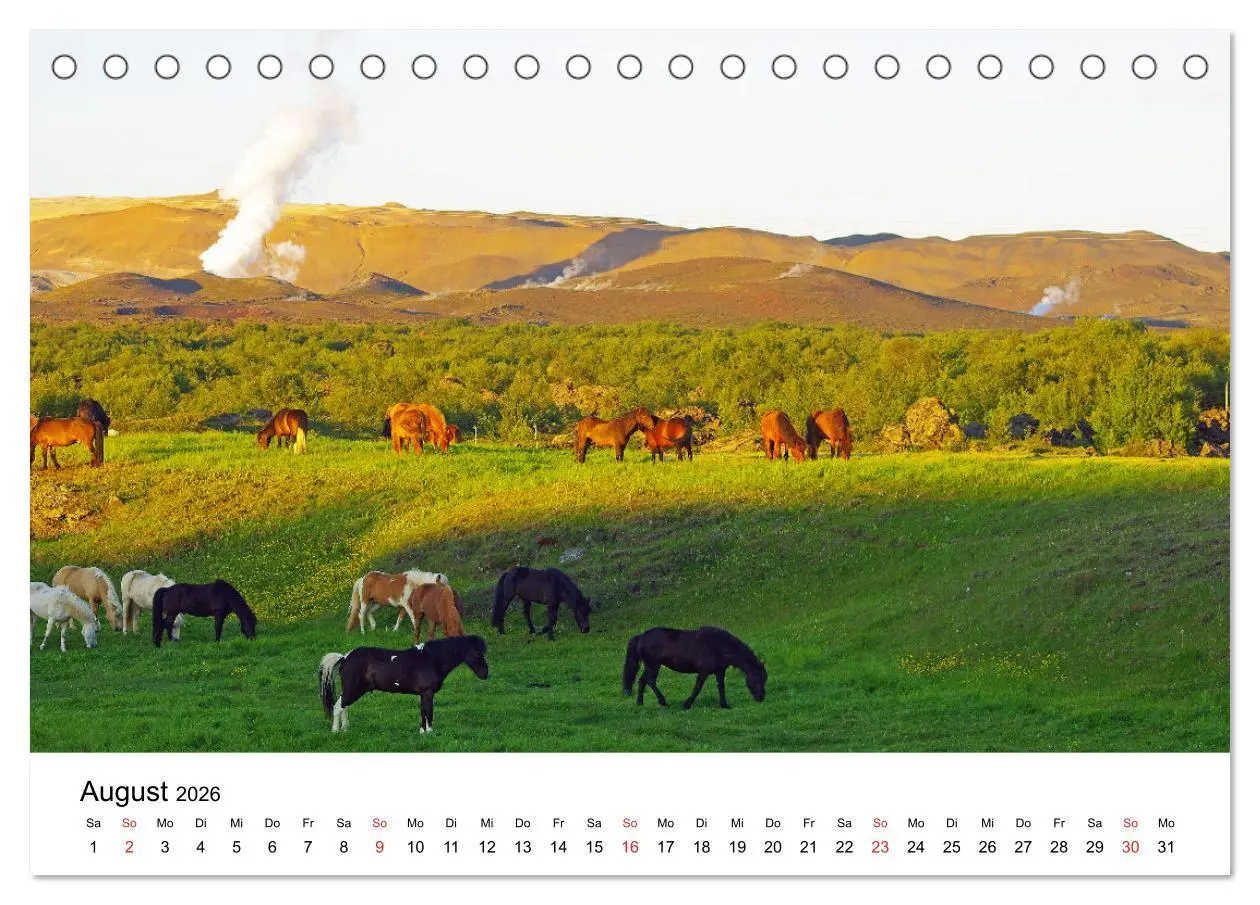 Bild: 9783516062755 | Die Pferde Islands - Ein Streifzug durch Island (Tischkalender 2026...