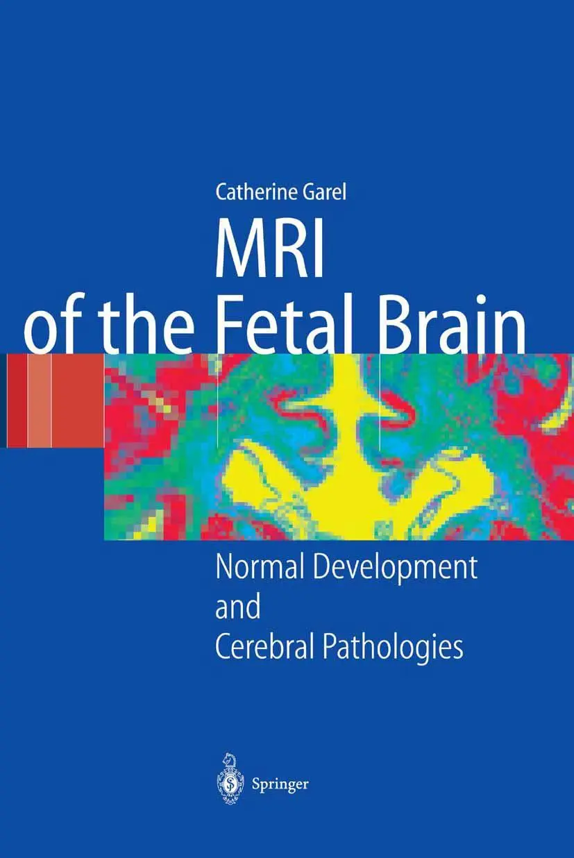Cover: 9783642622755 | MRI of the Fetal Brain | Normal Development and Cerebral Pathologies