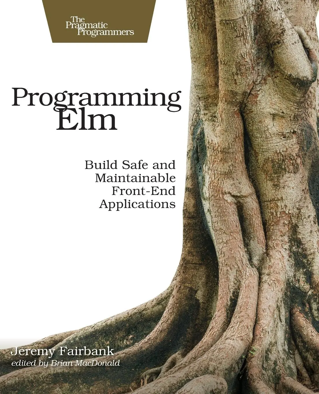 Cover: 9781680502855 | Programming ELM | Jeremy Fairbank | Taschenbuch | Englisch | 2019