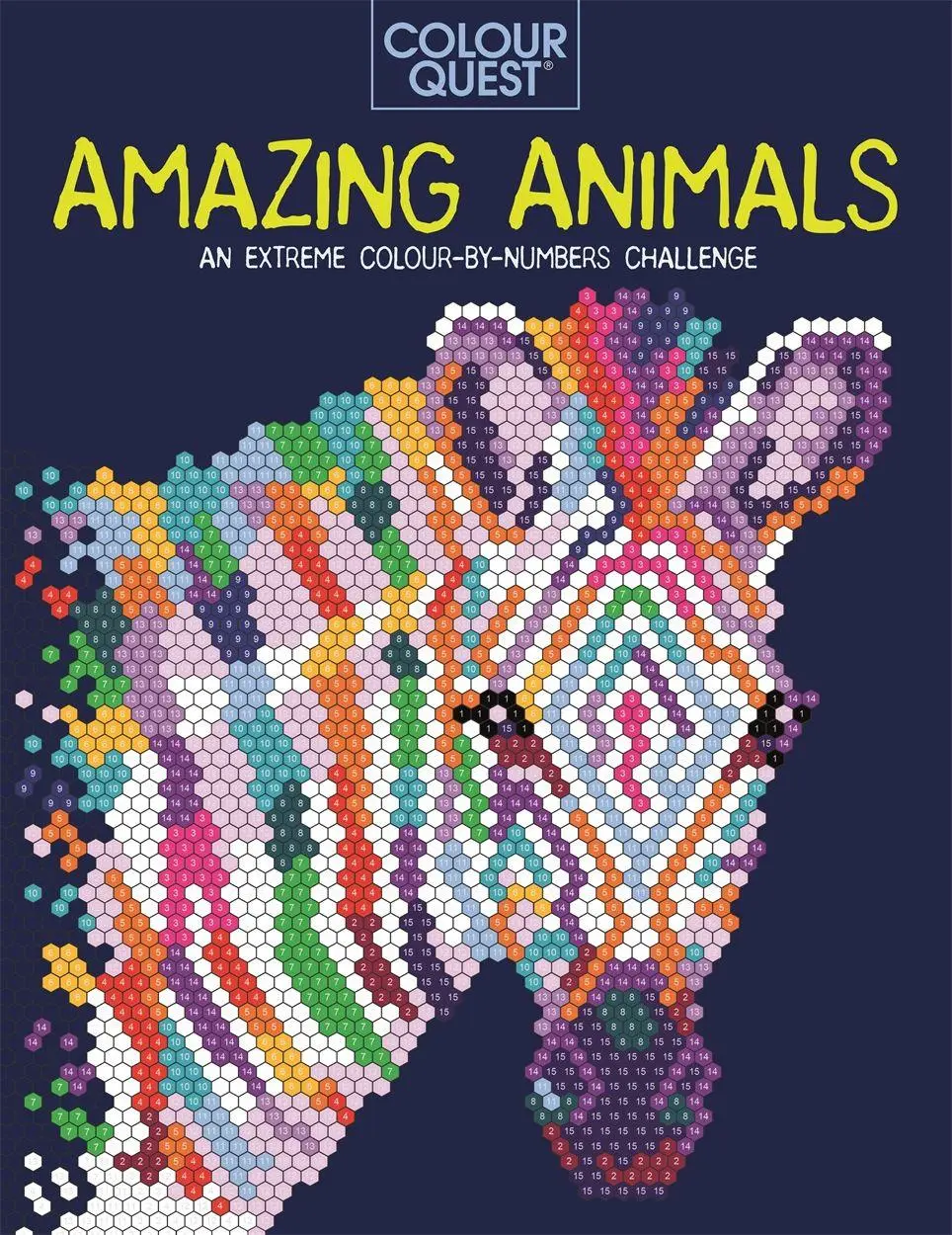 Cover: 9781789292855 | Colour Quest® | Lauren Farnsworth | Taschenbuch | Englisch | 2021