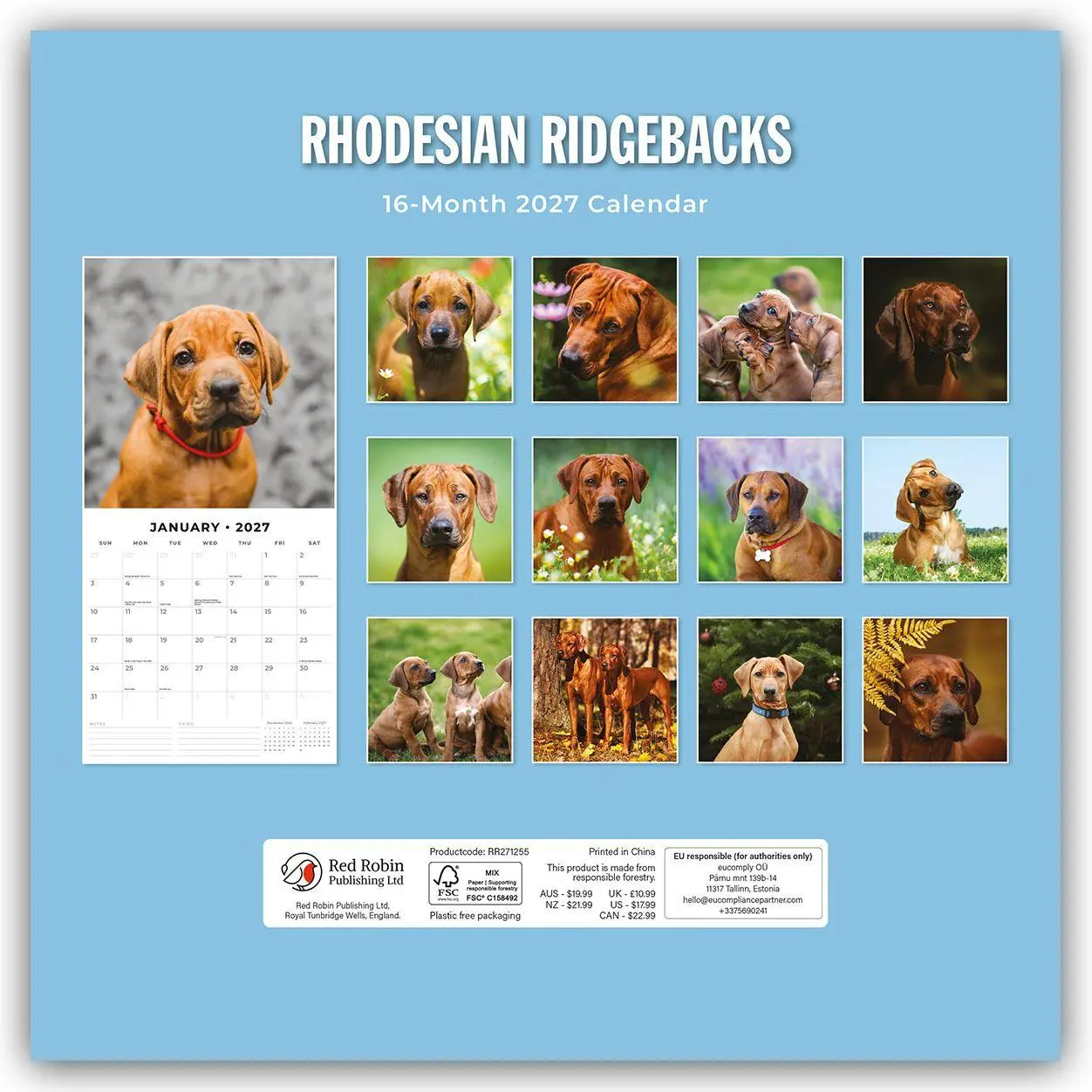 Bild: 9781837012855 | Rhodesian Ridgebacks - Rhodesian Ridgeback 2027 - 16-Monatskalender