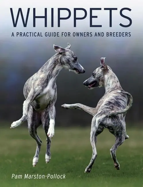 Cover: 9780719842955 | Whippets | A Practical Guide for Owners and Breeders | Marston-Pollock