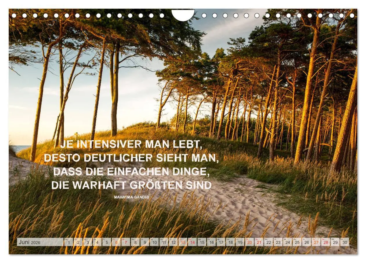 Bild: 9783457693155 | Motivation und Meer (Wandkalender 2026 DIN A4 quer), CALVENDO...