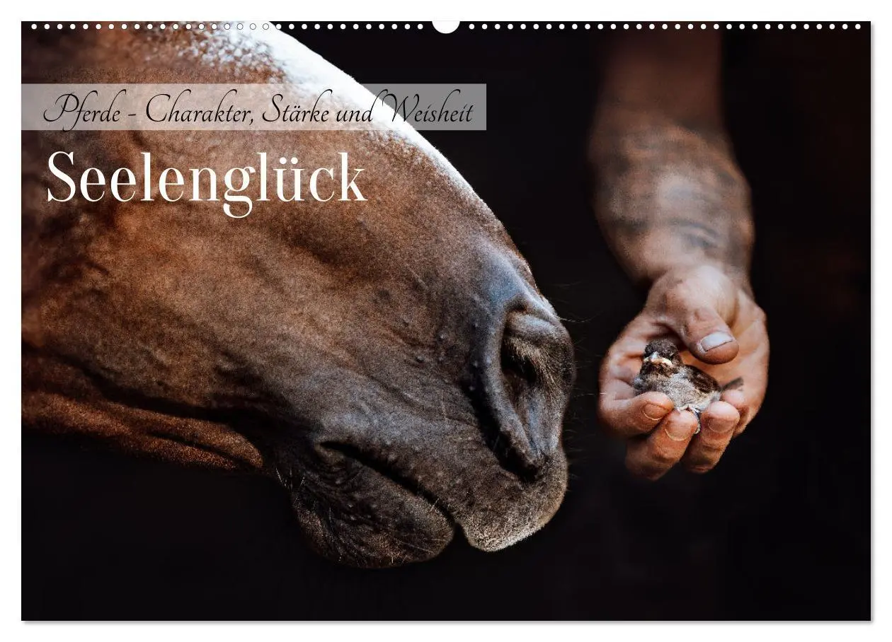 Cover: 9783457763155 | Seelenglück Kalender - Pferde - Charakter, Stärke, Weisheit...