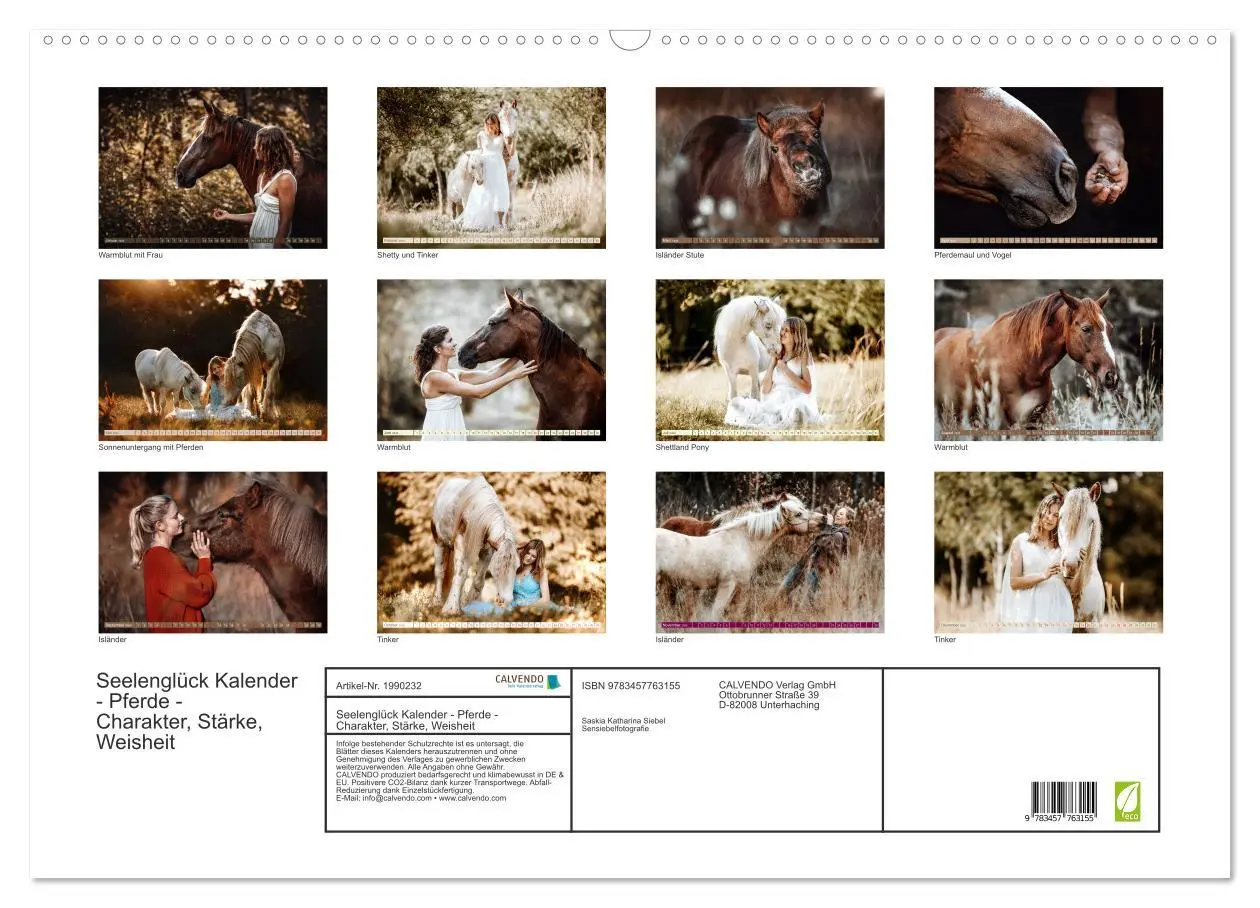 Bild: 9783457763155 | Seelenglück Kalender - Pferde - Charakter, Stärke, Weisheit...