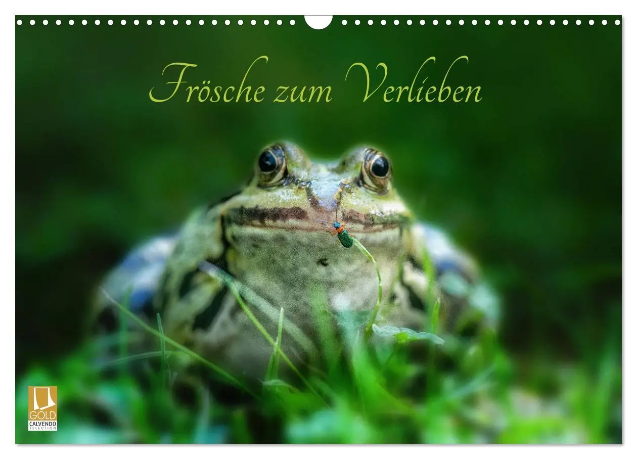Cover: 9783457903155 | Frösche zum Verlieben (Wandkalender 2026 DIN A3 quer), CALVENDO...