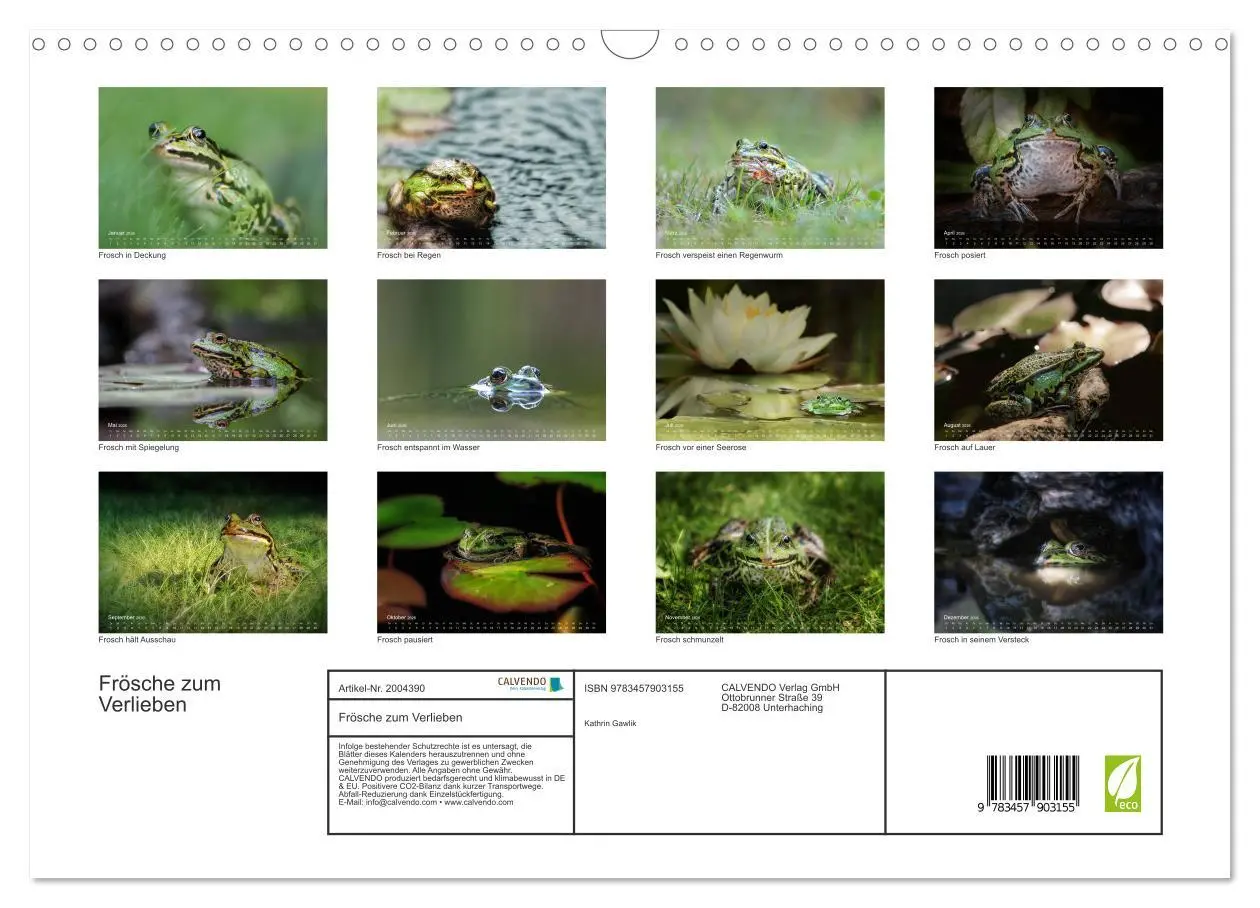 Bild: 9783457903155 | Frösche zum Verlieben (Wandkalender 2026 DIN A3 quer), CALVENDO...