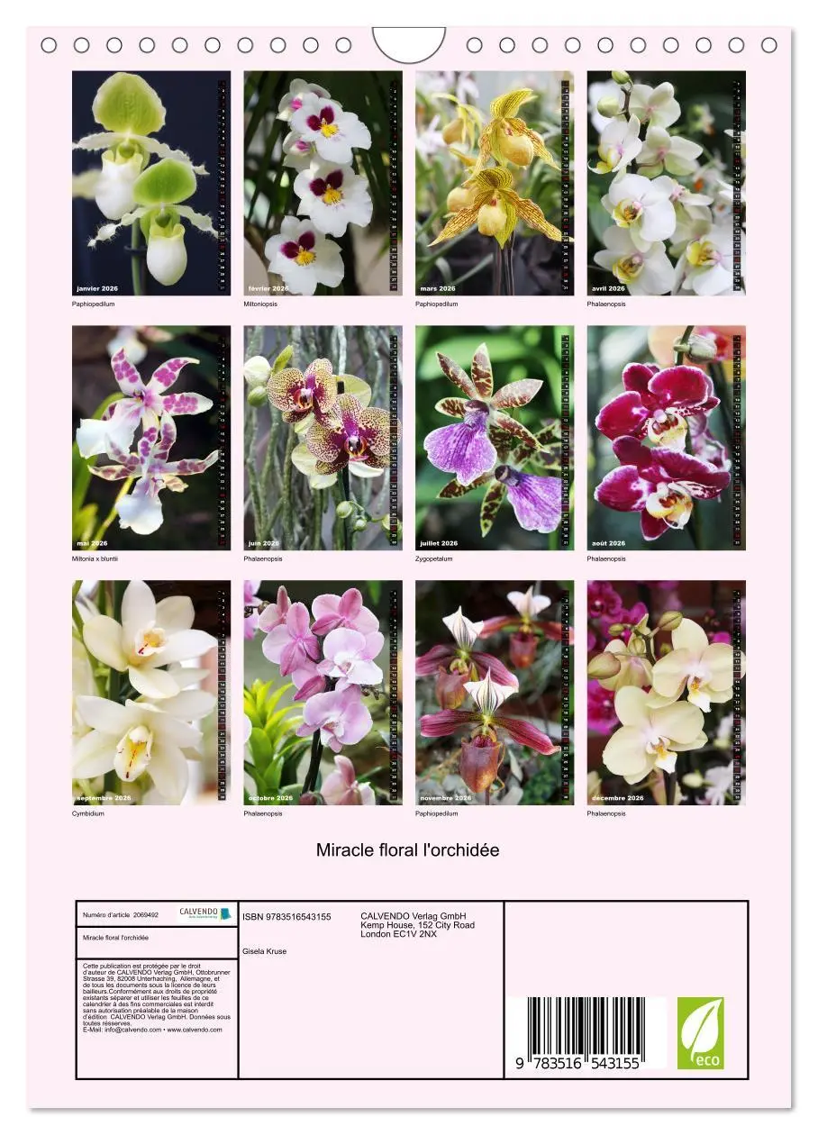 Bild: 9783516543155 | Miracle floral l'orchidée (Calendrier mural 2026 DIN A4...