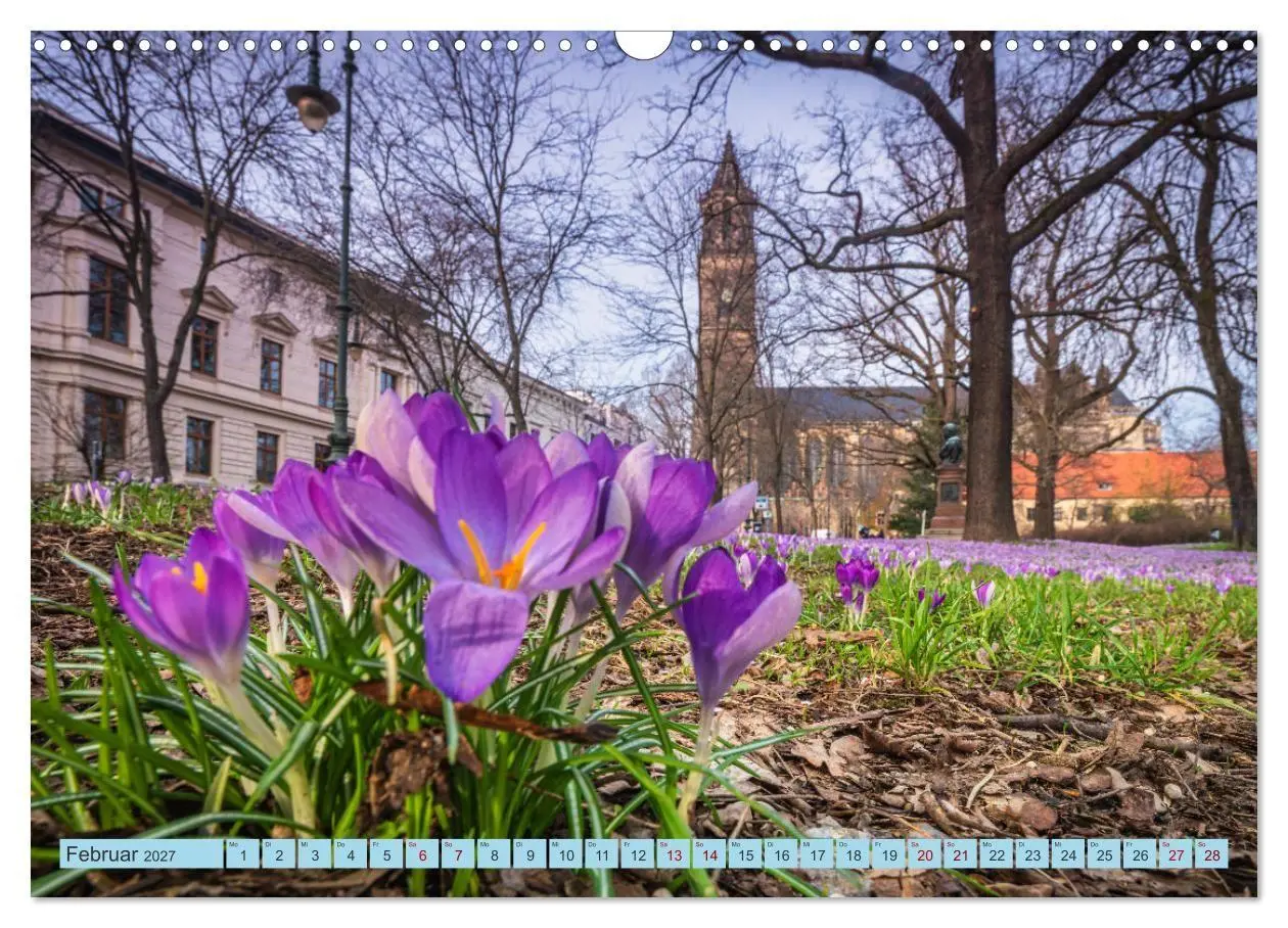 Bild: 9783516783155 | Magdeburger Dom 2027 (Wandkalender 2027 DIN A3 quer), CALVENDO...