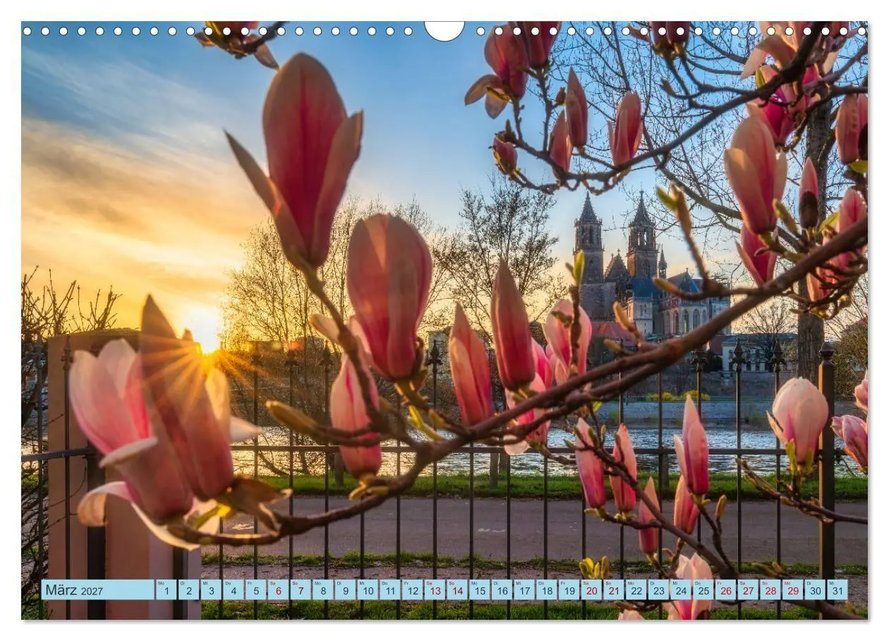 Bild: 9783516783155 | Magdeburger Dom 2027 (Wandkalender 2027 DIN A3 quer), CALVENDO...