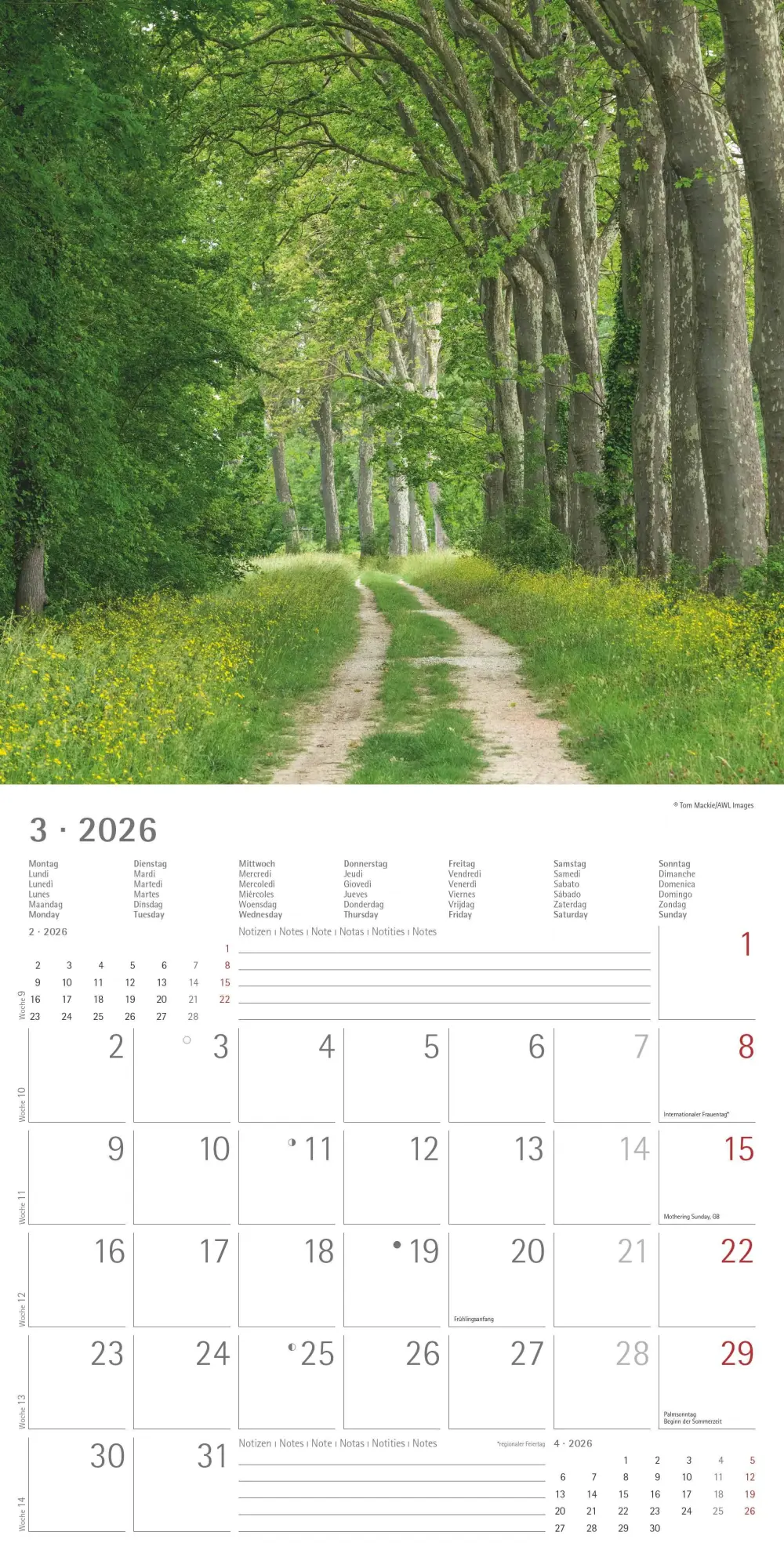 Bild: 4069095003255 | Wege 2026 - Broschürenkalender 30x30 cm (30x60 geöffnet) - Kalender...