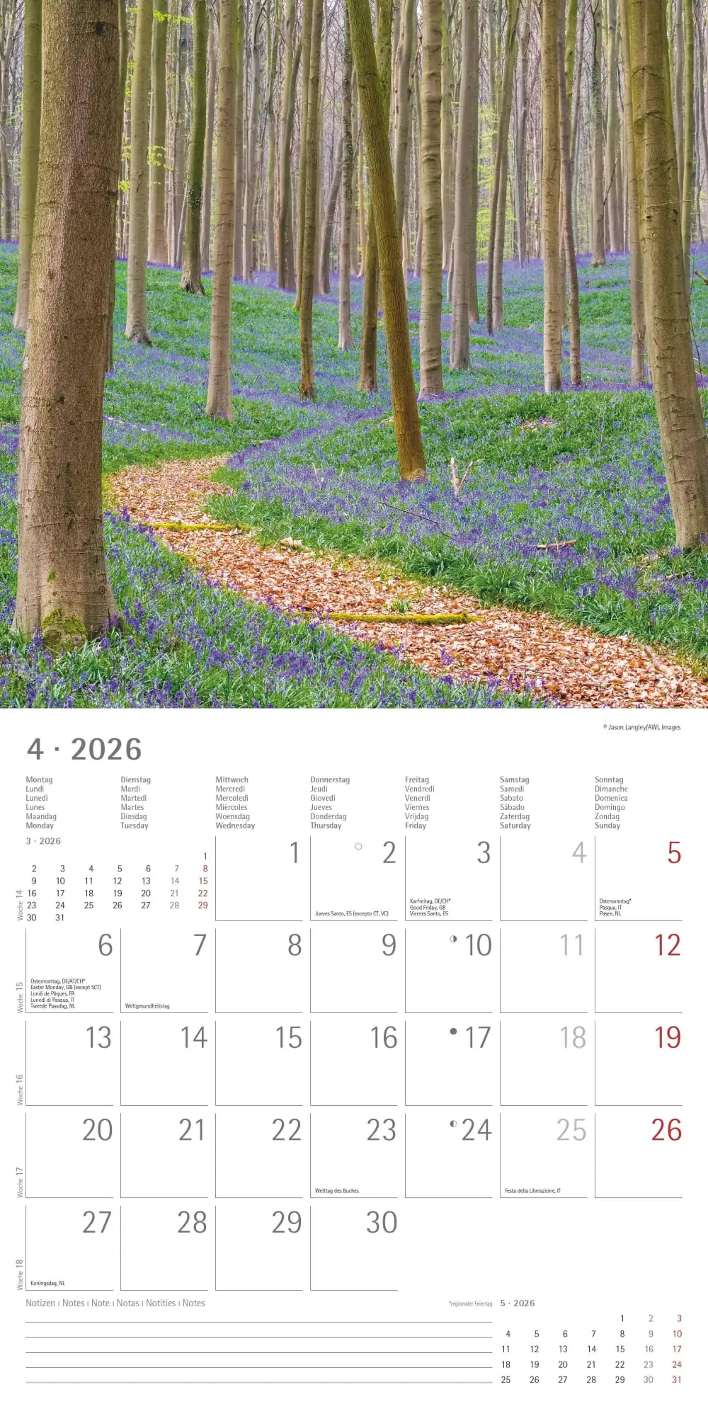 Bild: 4069095003255 | Wege 2026 - Broschürenkalender 30x30 cm (30x60 geöffnet) - Kalender...