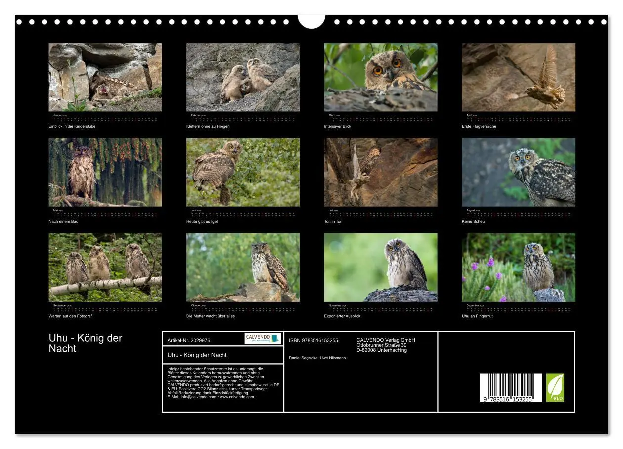 Bild: 9783516153255 | Uhu - König der Nacht (Wandkalender 2026 DIN A3 quer), CALVENDO...