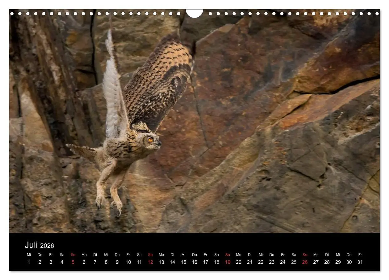 Bild: 9783516153255 | Uhu - König der Nacht (Wandkalender 2026 DIN A3 quer), CALVENDO...