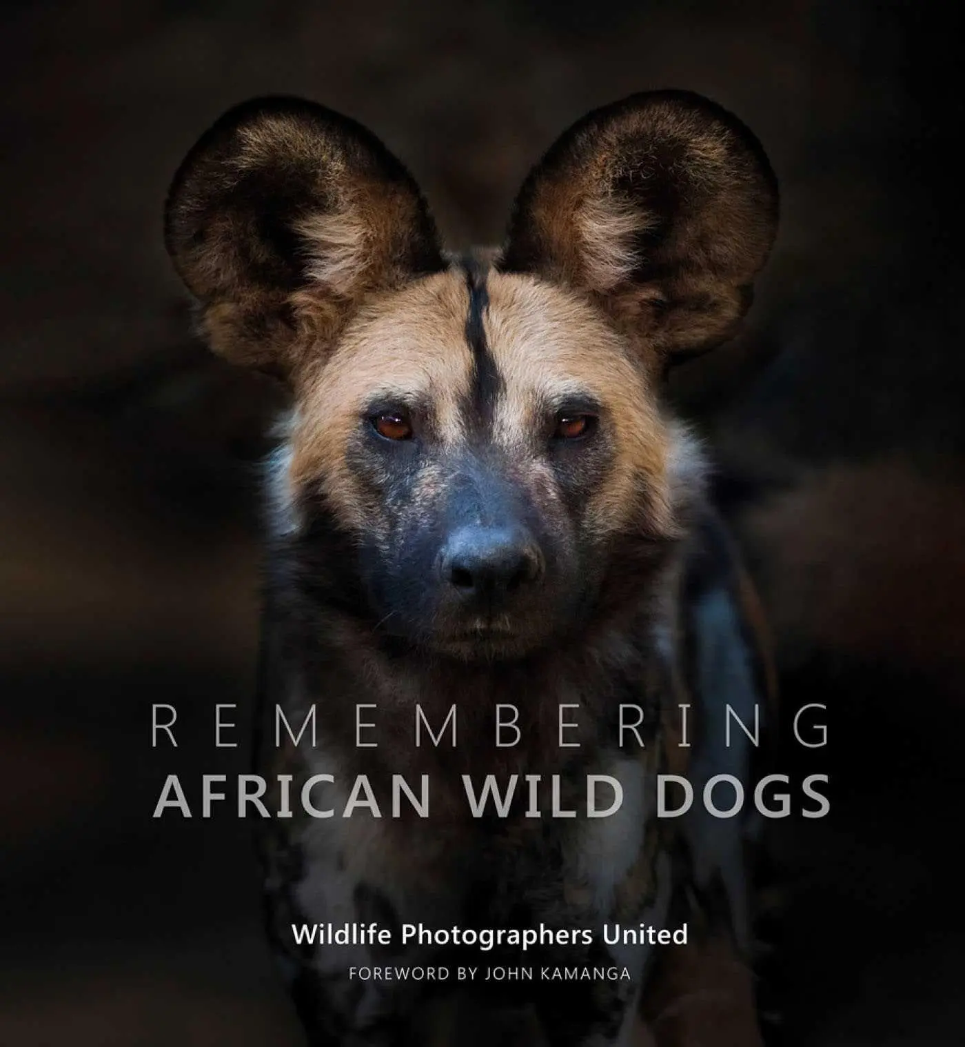 Cover: 9781999643355 | Remembering African Wild Dogs | Margot Raggett (u. a.) | Buch | 2021