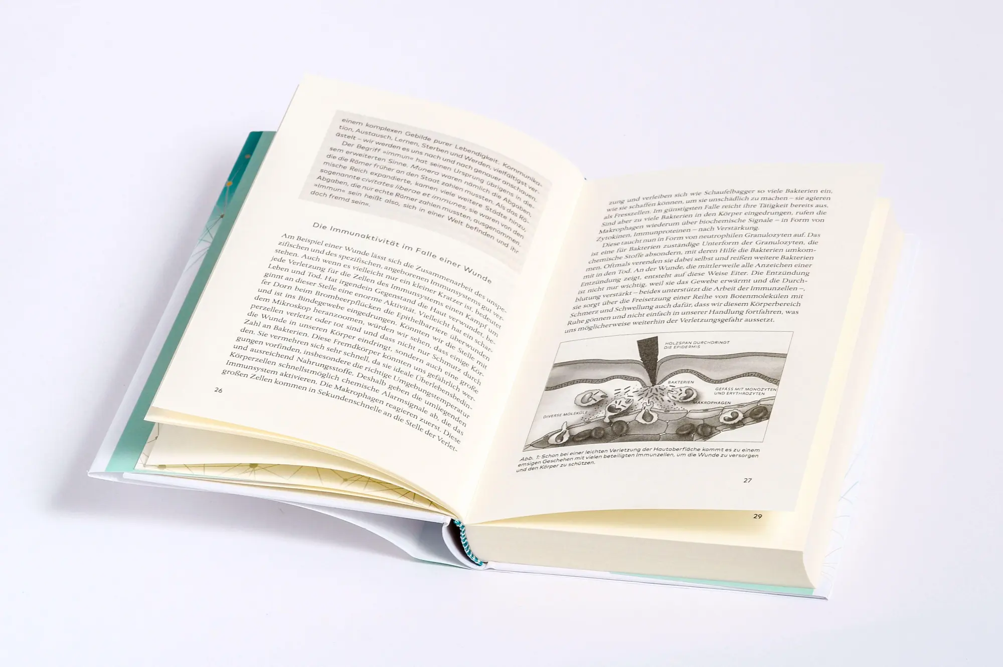 Bild: 9783442343355 | Immunsystem neu gedacht | Christian Schubert | Buch | 272 S. | Deutsch