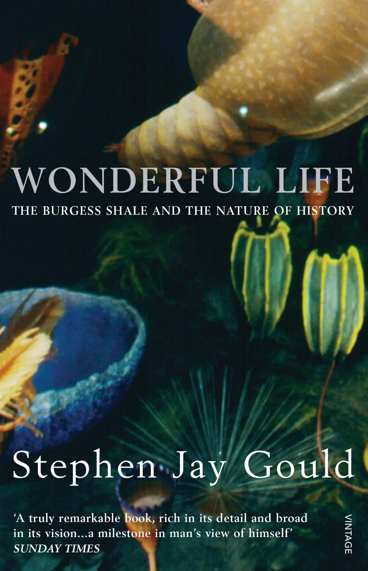 Cover: 9780099273455 | Wonderful Life | Stephen Jay Gould | Taschenbuch | Englisch | 2000 Cover: 9780099273455 | Wonderful Life | Stephen Jay Gould | Taschenbuch | Englisch | 2000