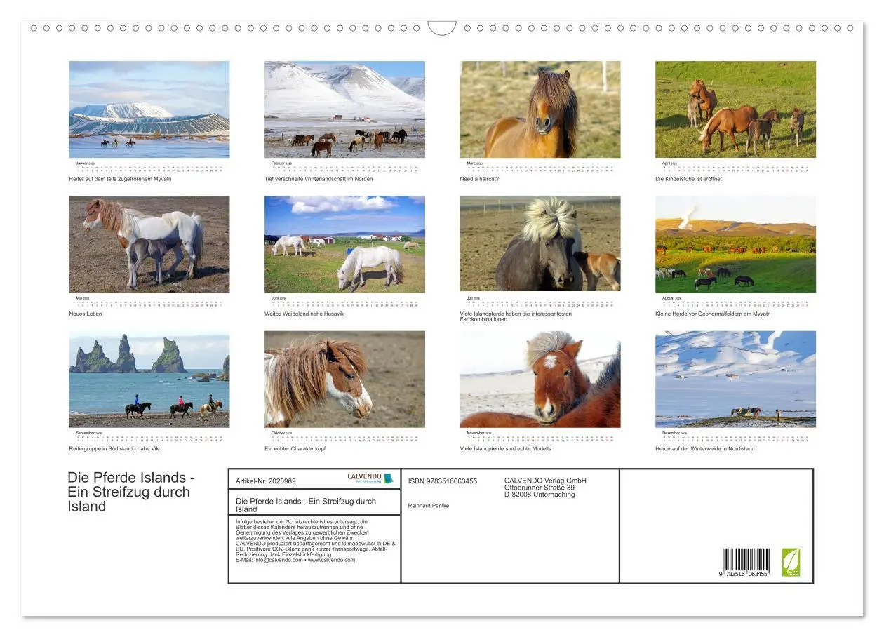 Bild: 9783516063455 | Die Pferde Islands - Ein Streifzug durch Island (Wandkalender 2026...