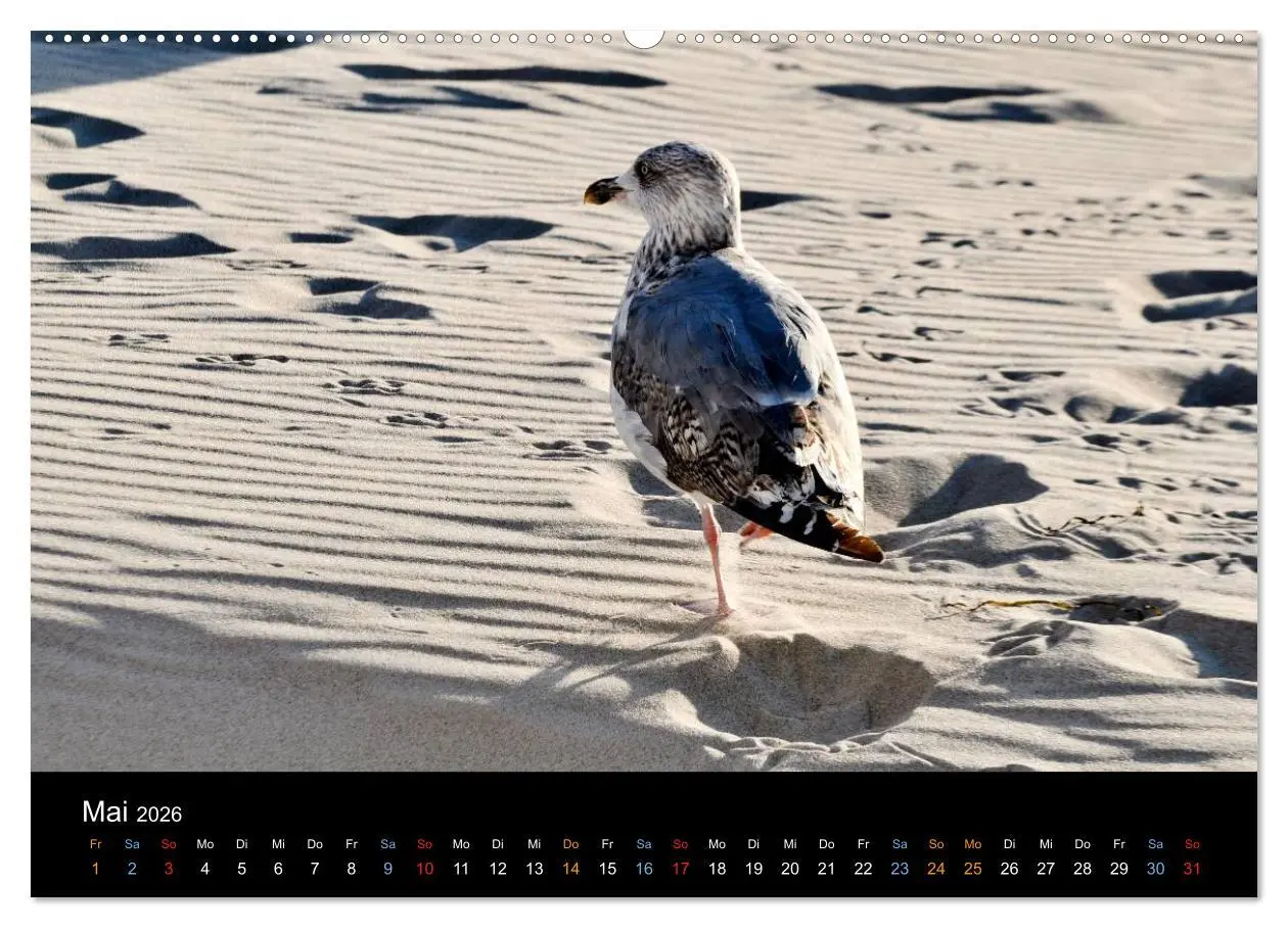 Bild: 9783516133455 | Warnemünde - Maritime Landschaften (Wandkalender 2026 DIN A2 quer),...