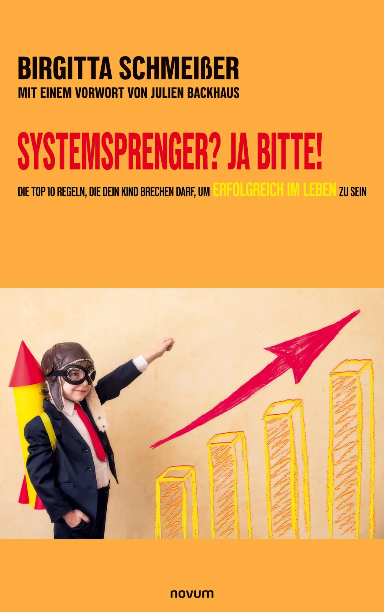 Cover: 9783711613455 | Systemsprenger? Ja Bitte! | Birgitta Schmeißer | Taschenbuch | Deutsch