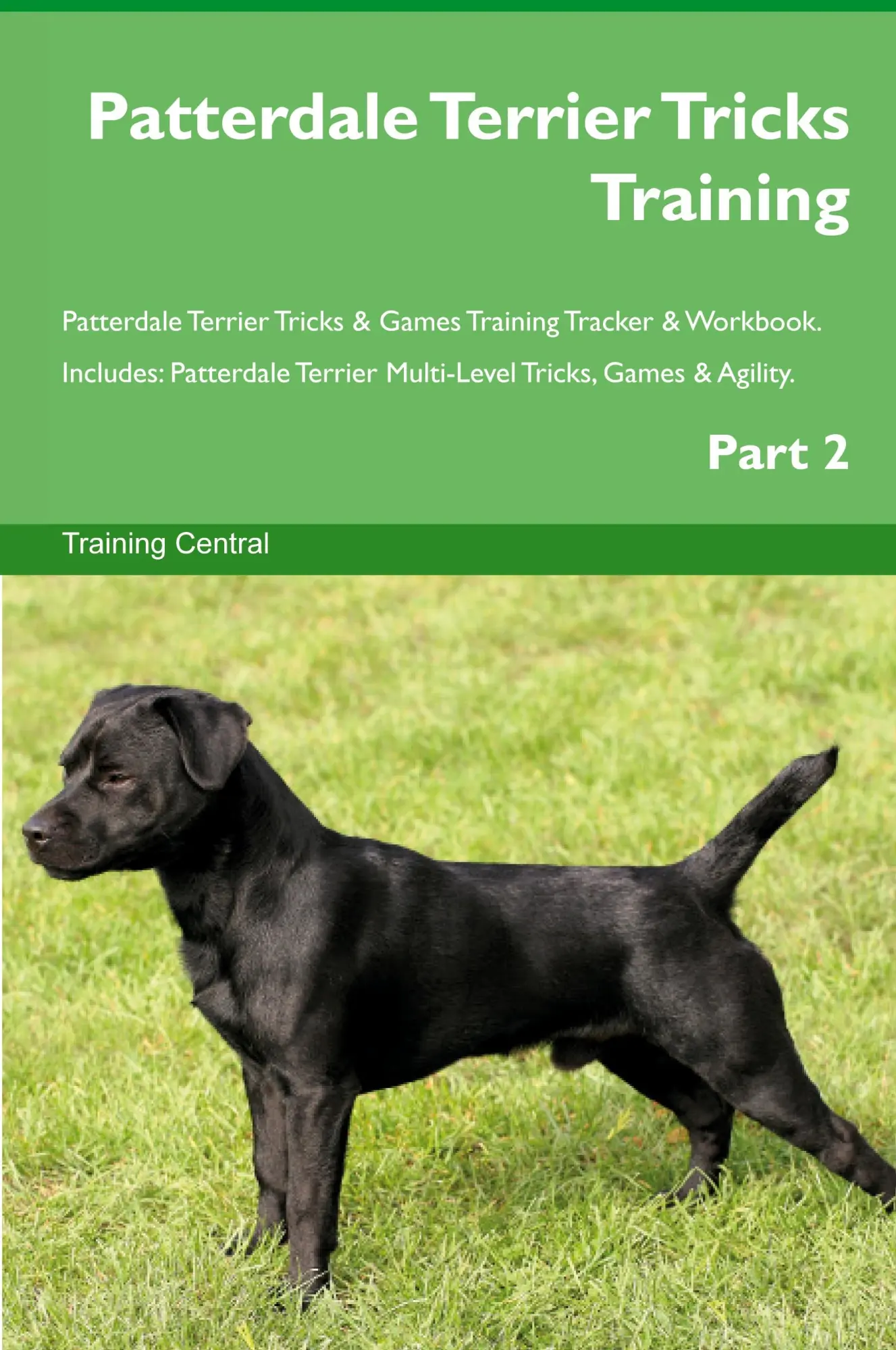 Cover: 9781395863555 | Patterdale Terrier Tricks Training Patterdale Terrier Tricks &amp;...