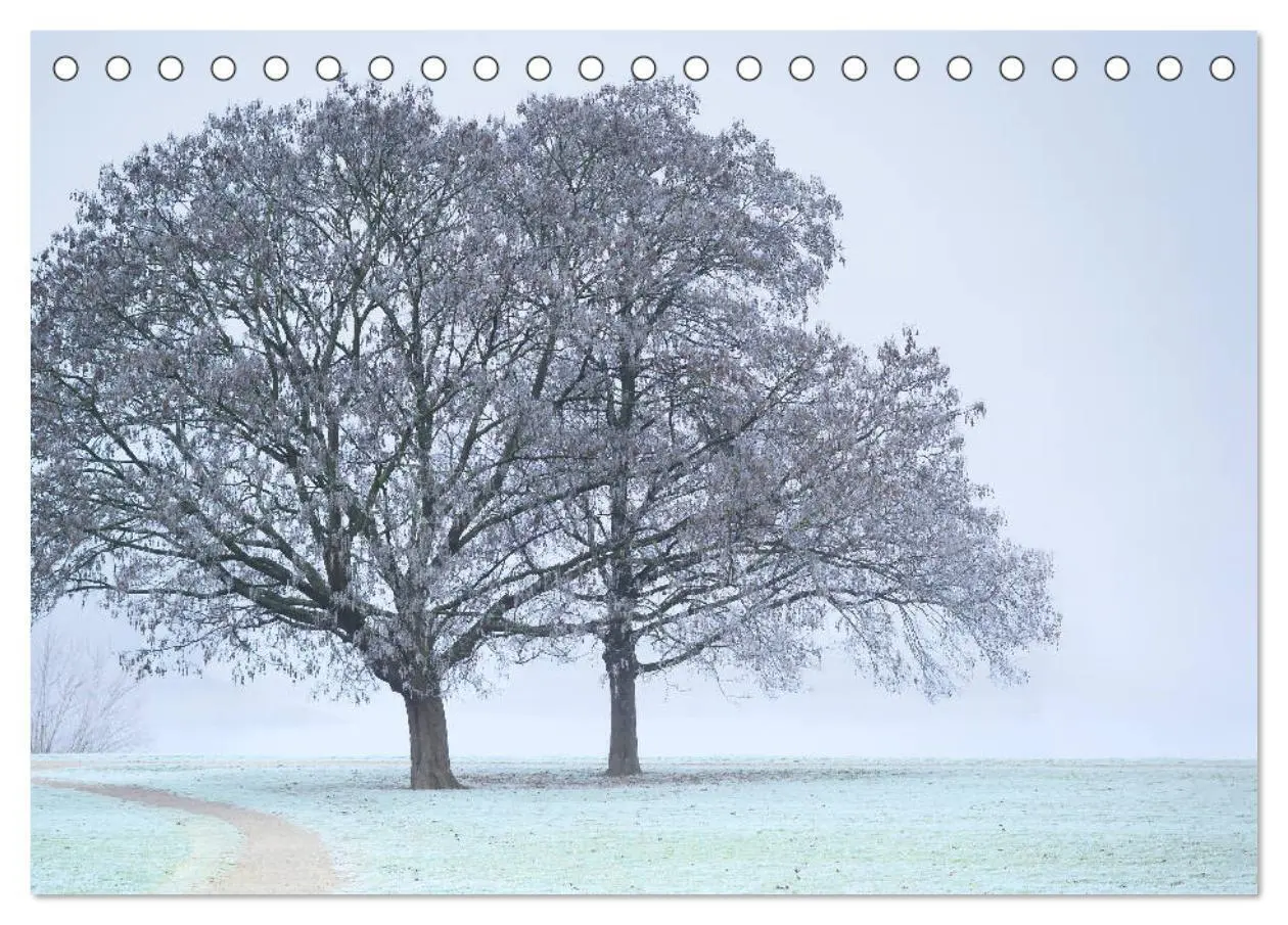 Bild: 9783435183555 | Mannheimer Impressionen. (Tischkalender 2025 DIN A5 quer), CALVENDO...