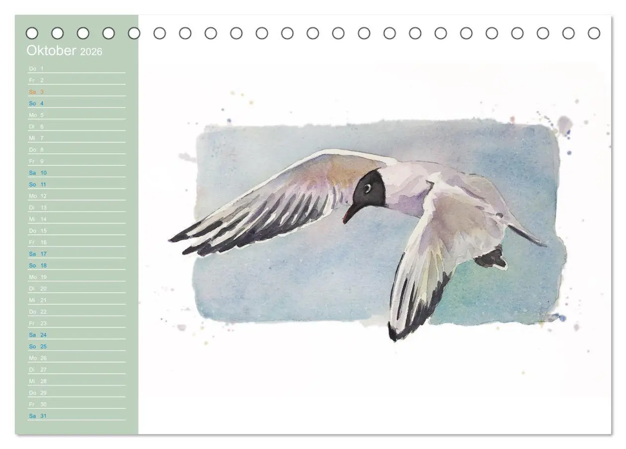 Bild: 9783457413555 | Möwen - Aquarelle von Julia Pasinski (Tischkalender 2026 DIN A5...