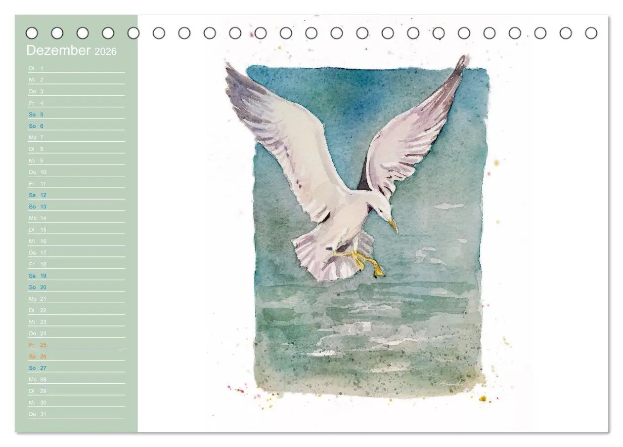 Bild: 9783457413555 | Möwen - Aquarelle von Julia Pasinski (Tischkalender 2026 DIN A5...